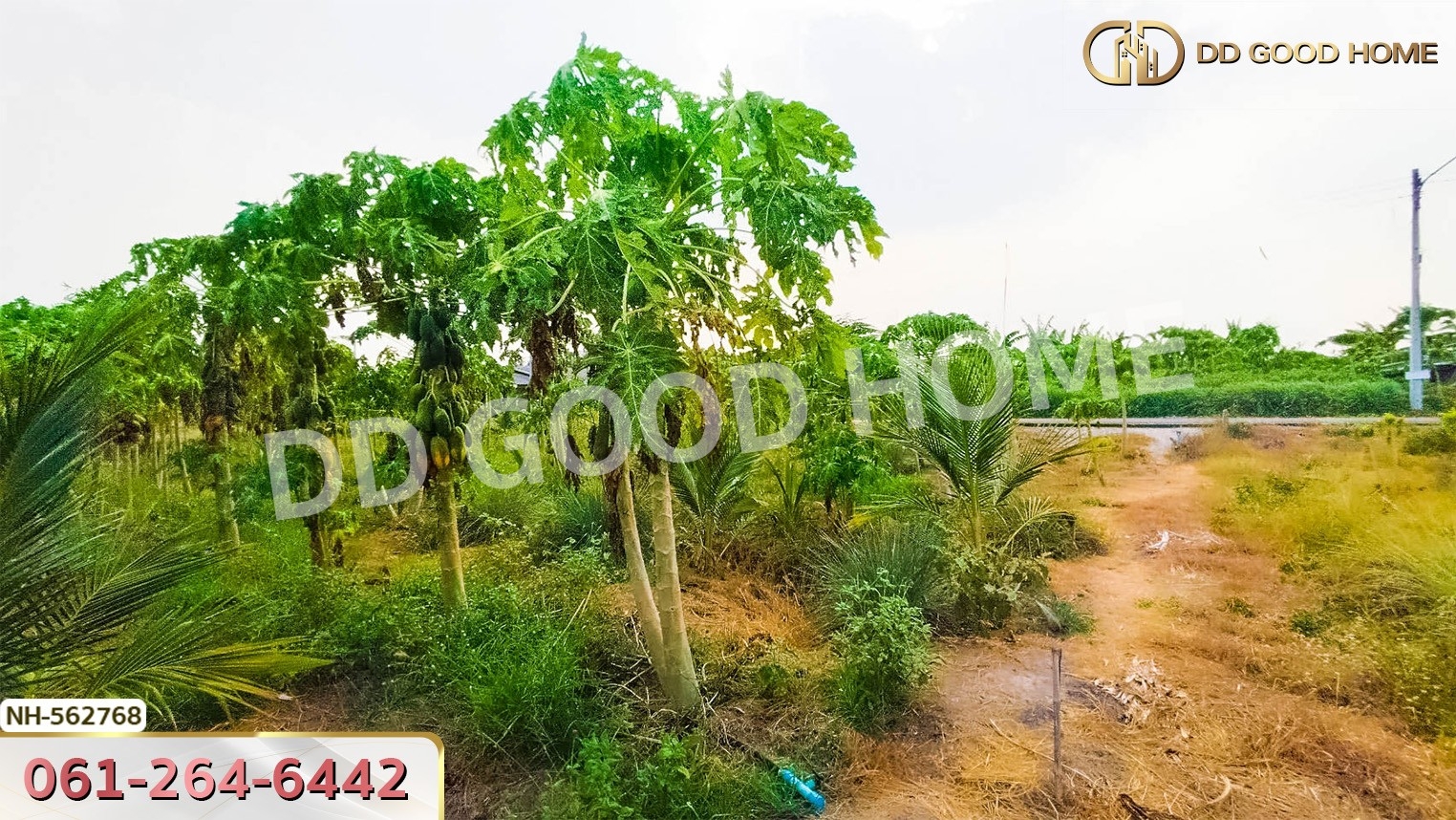ที่ดิน อ.โพธาราม 1 ไร่ 383.2 ตร.ว. ราชบุรี