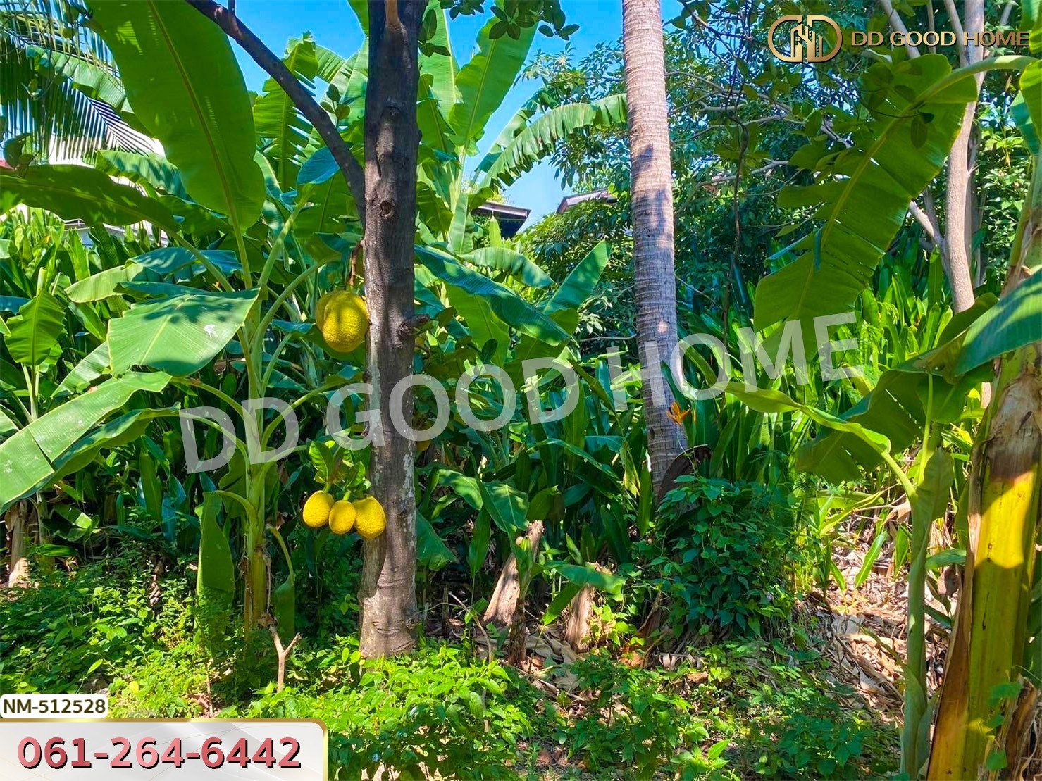 ที่ดิน จอมทอง 204 ตร.ว. กรุงเทพฯ
