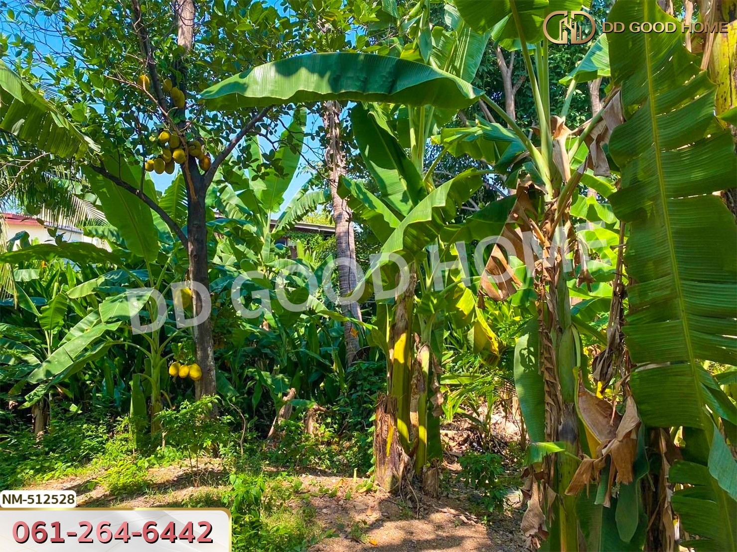 ที่ดิน จอมทอง 204 ตร.ว. กรุงเทพฯ