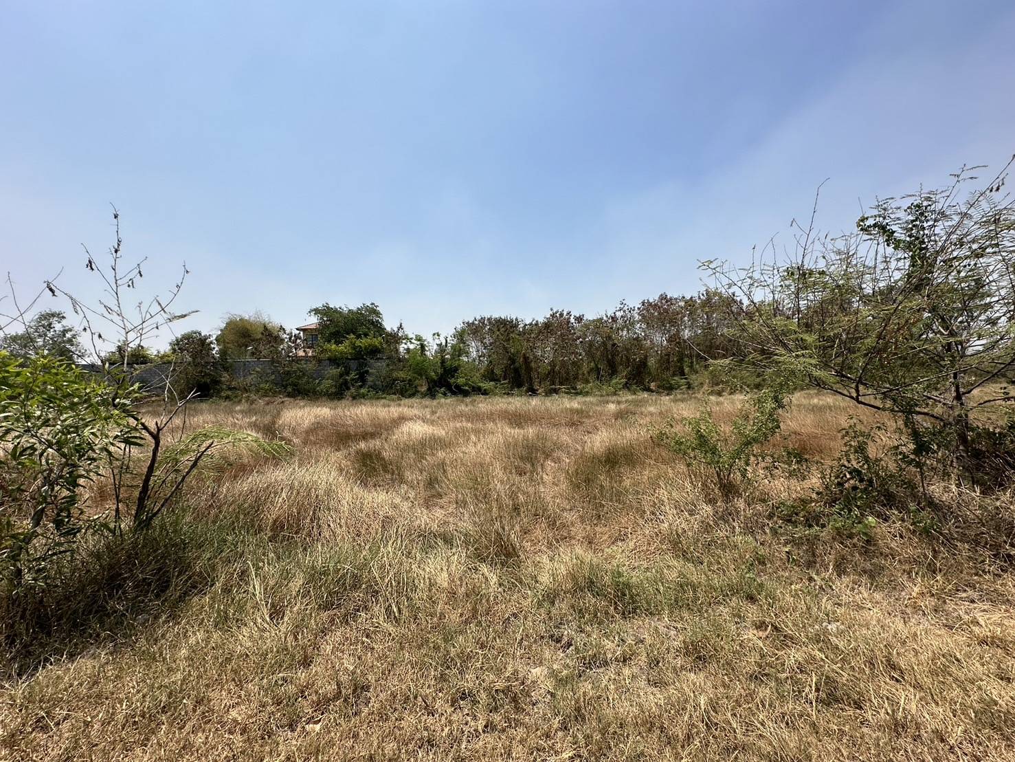 ขายที่ดินรังสิตคลอง 2  เหมาะสร้างเป็นที่อยู่อาศัย หรือ ทำธุรกิจได้  ทำเลดี