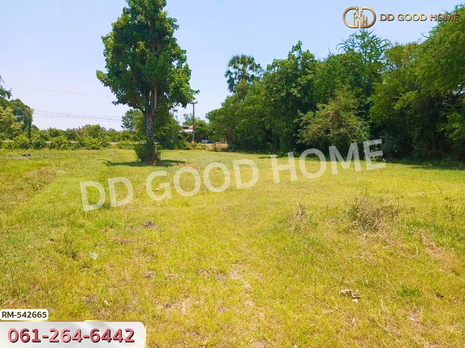 ที่ดิน อ.ขามสะแกแสง 1ไร่ 108 ตร.ว. นครราชสีมา