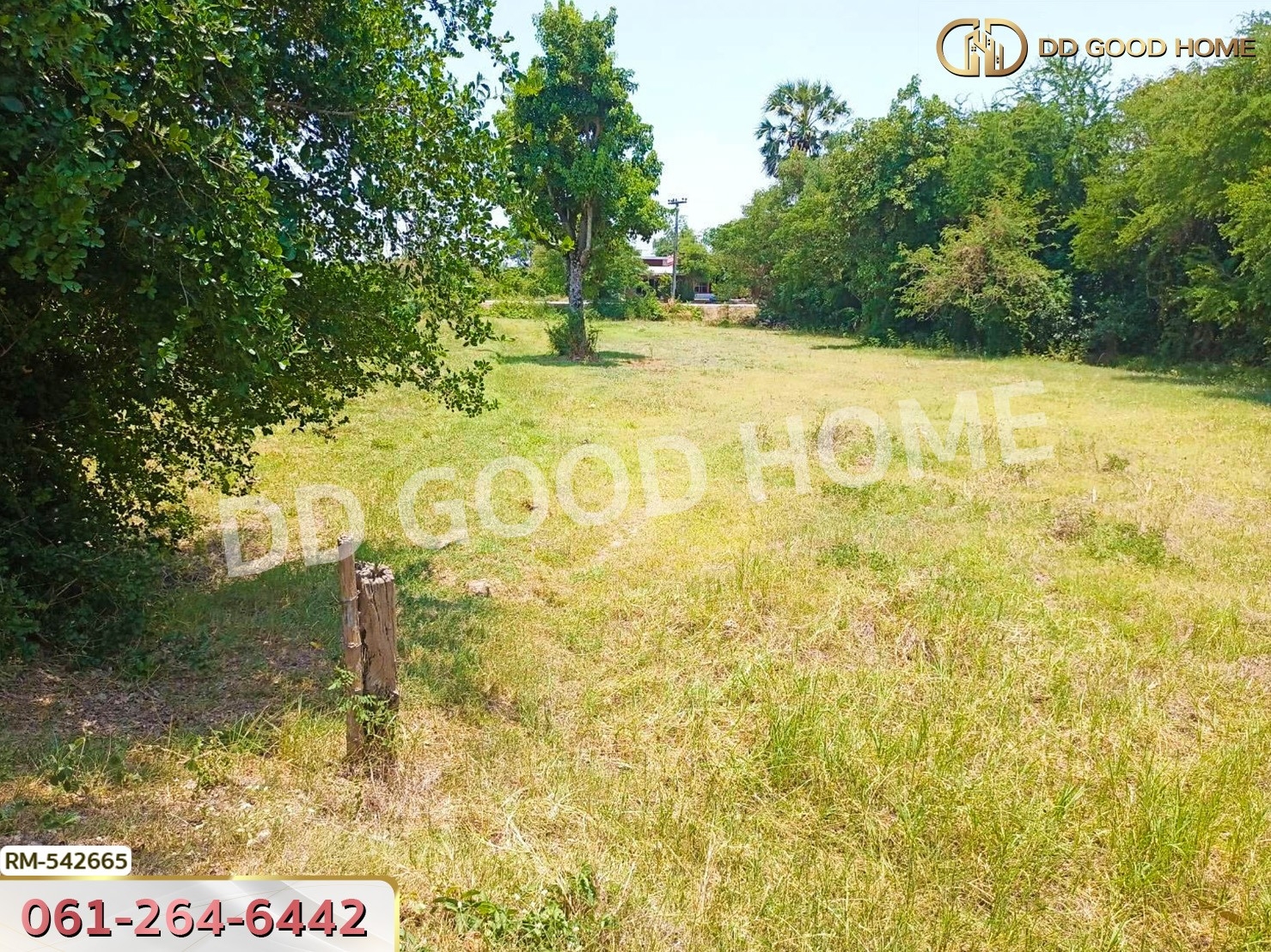 ที่ดิน อ.ขามสะแกแสง 1ไร่ 108 ตร.ว. นครราชสีมา