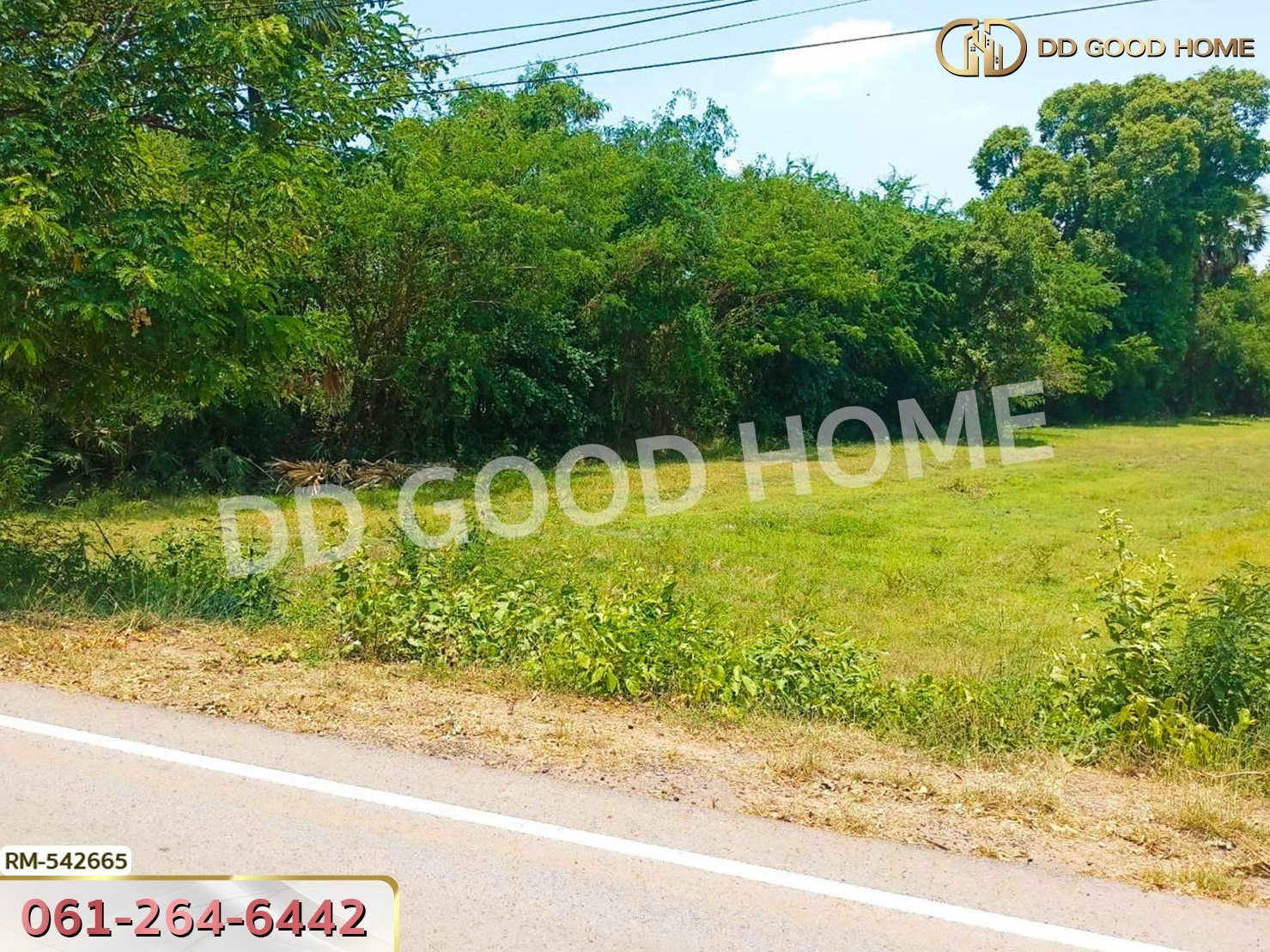 ที่ดิน อ.ขามสะแกแสง 1ไร่ 108 ตร.ว. นครราชสีมา