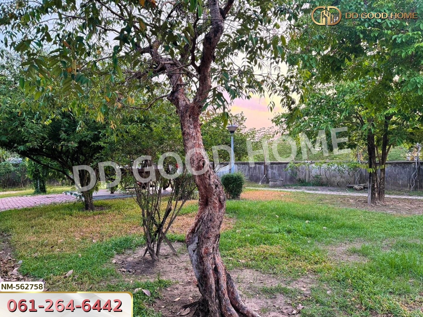ที่ดิน ซ.ขันติรักษ์ อ.เมืองอุดรธานี 1 ไร่ 371.7 ตร.ว. อุดรธานี