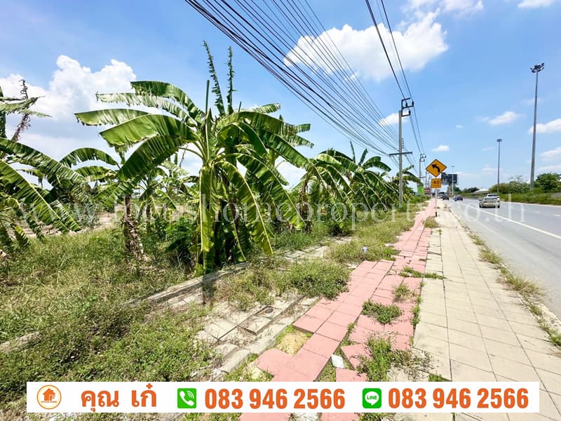 ที่ดิน 6 ไร่- 2 งาน- 59 ตร.วา ชัยพฤกษ์-ราชพฤกษ์