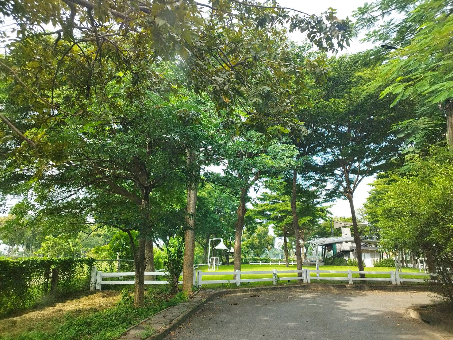 ขาย ที่ดิน โครงการ Greenside by Sansiri (กรีนไซด์ บาย แสนสิริ)