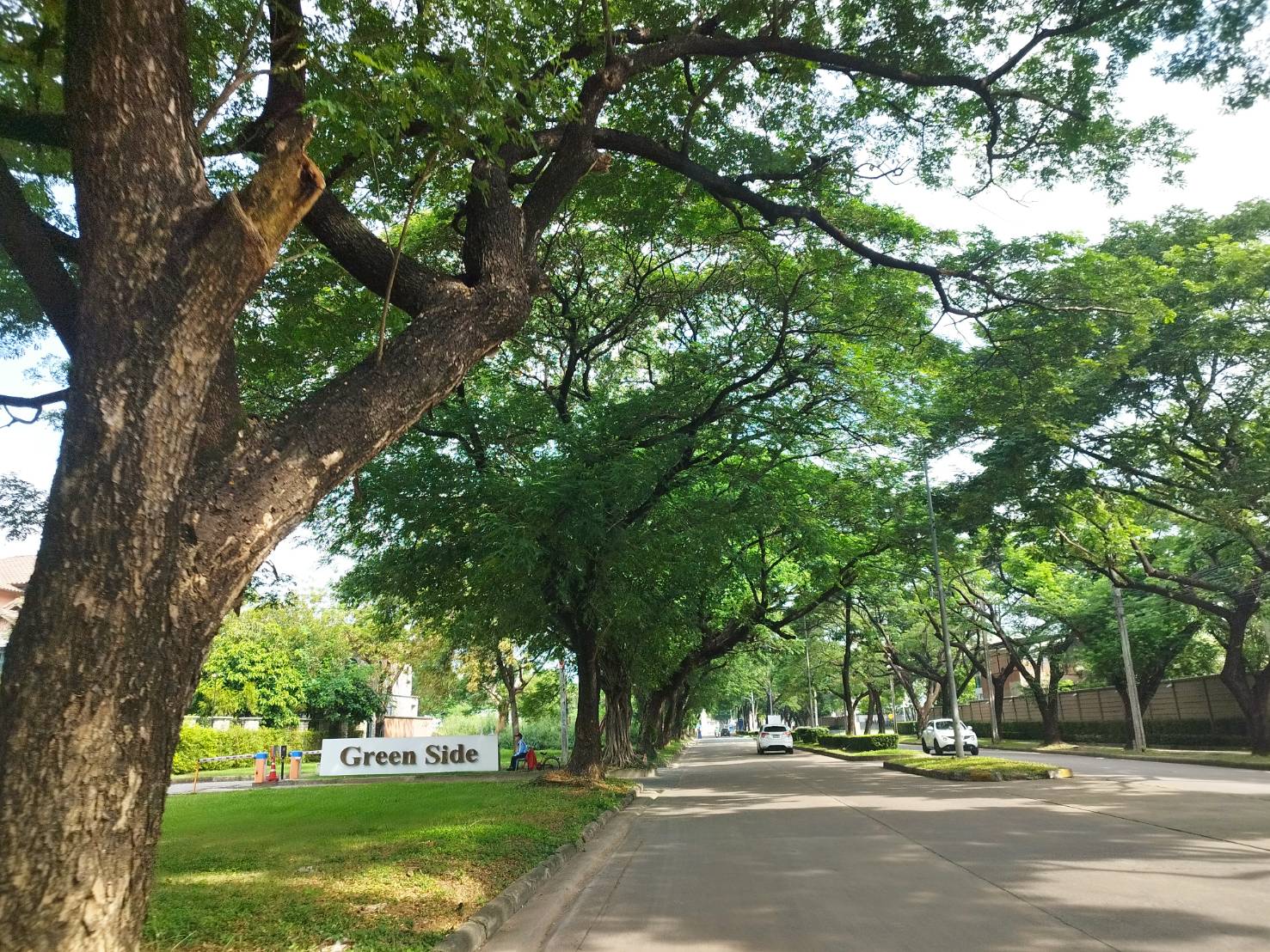 ขาย ที่ดิน โครงการ Greenside by Sansiri (กรีนไซด์ บาย แสนสิริ)