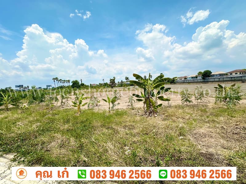 4ไร่-1งาน- 17 ตร.วา ชัยพฤกษ์-ราชพฤกษ์