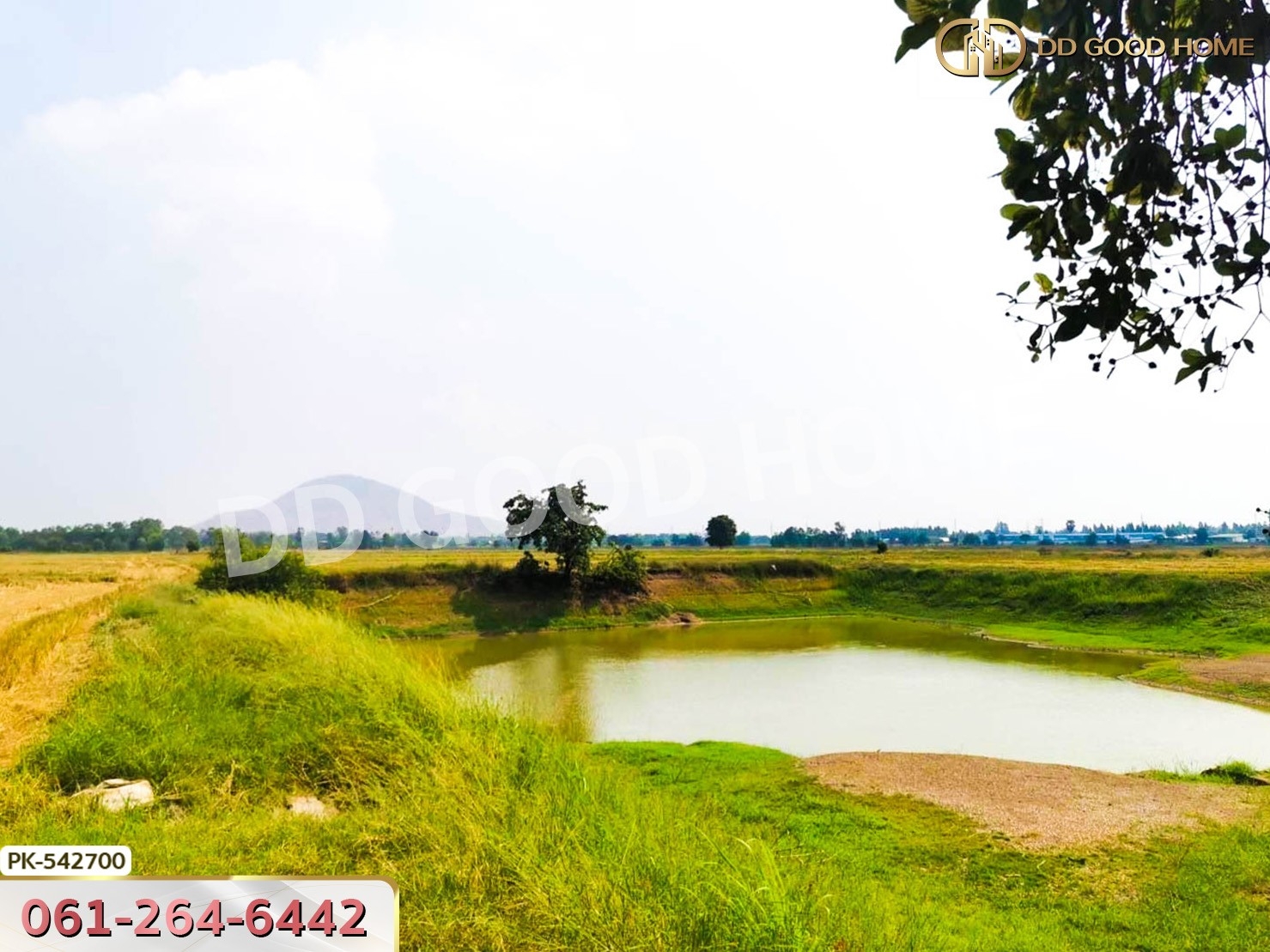 ที่ดิน อ.มโนรมย์ 98 ไร่ 334.1 ตร.ว. ชัยนาท