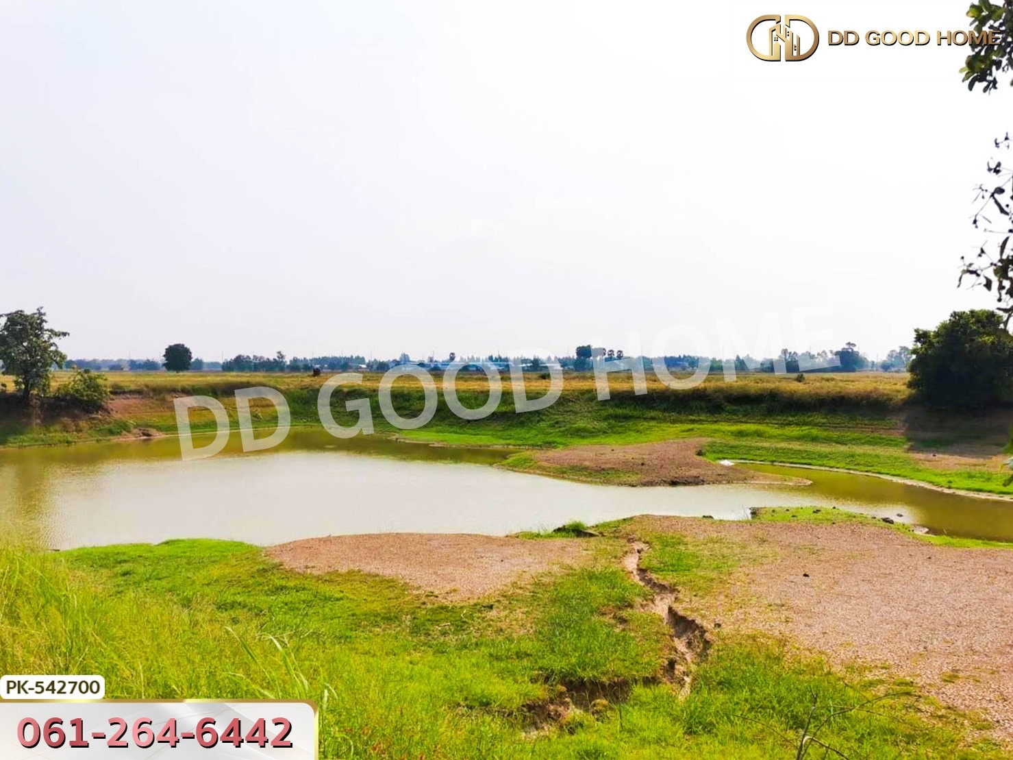 ที่ดิน อ.มโนรมย์ 98 ไร่ 334.1 ตร.ว. ชัยนาท