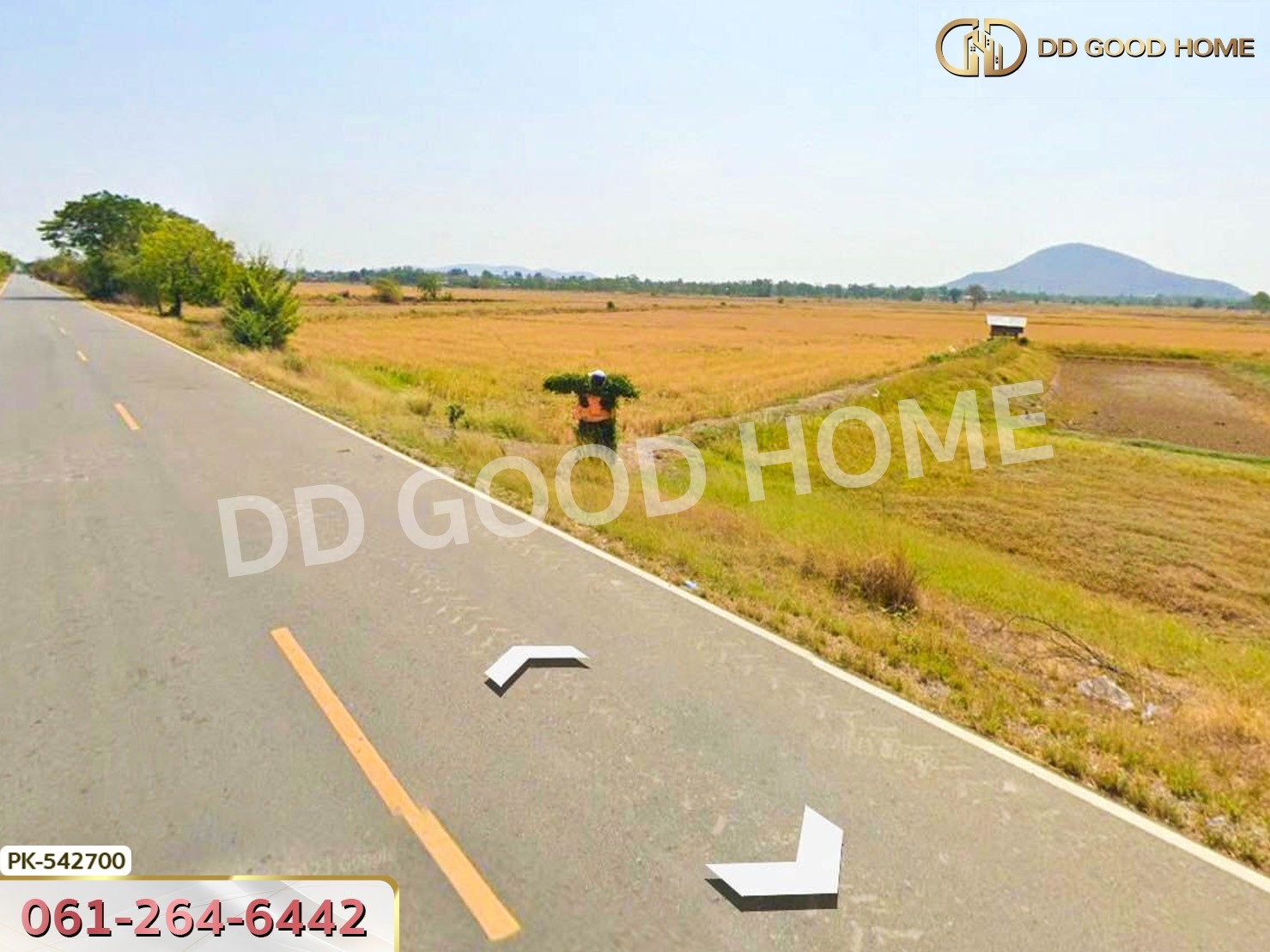 ที่ดิน อ.มโนรมย์ 98 ไร่ 334.1 ตร.ว. ชัยนาท