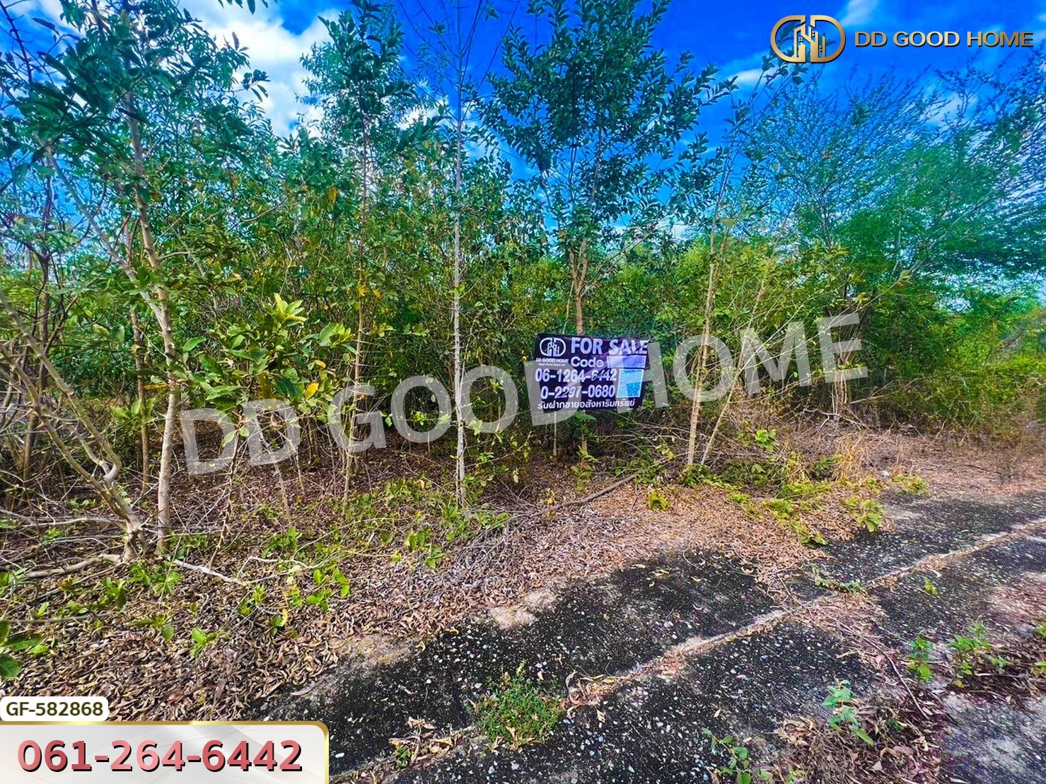 ที่ดิน อ.บางเลน 1 ไร่ 12 ตร.ว. นครปฐม