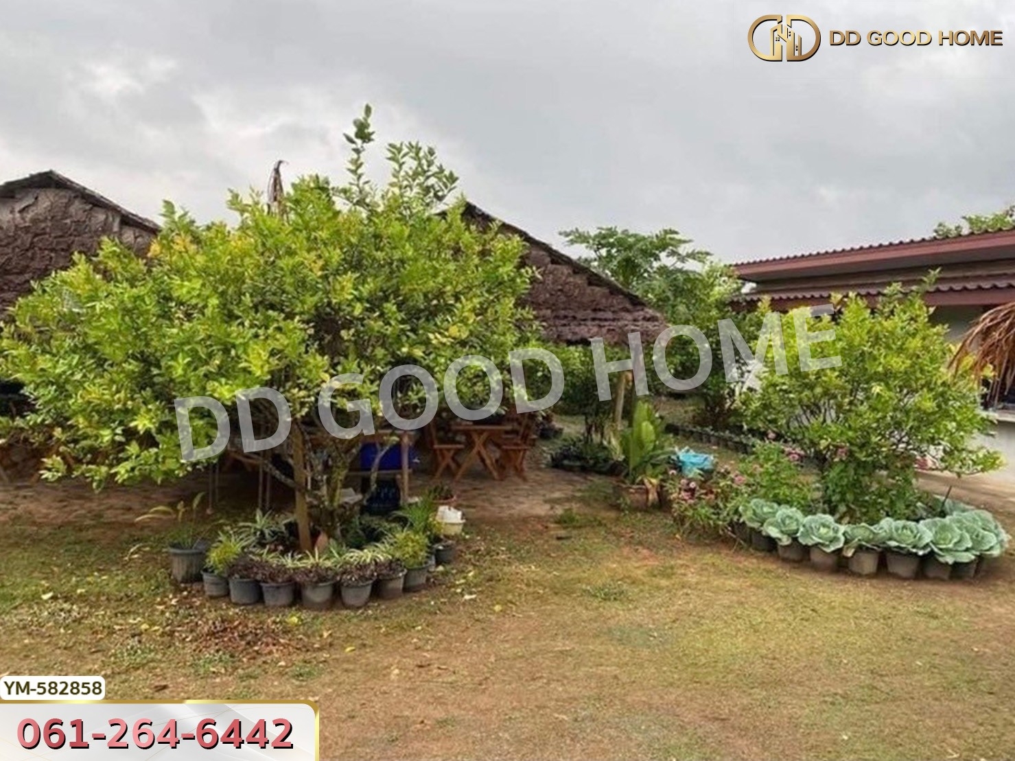 ที่ดิน ไร่สามคำ อ.แม่พริก 20 ไร่ 155 ตร.ว. ลำปาง