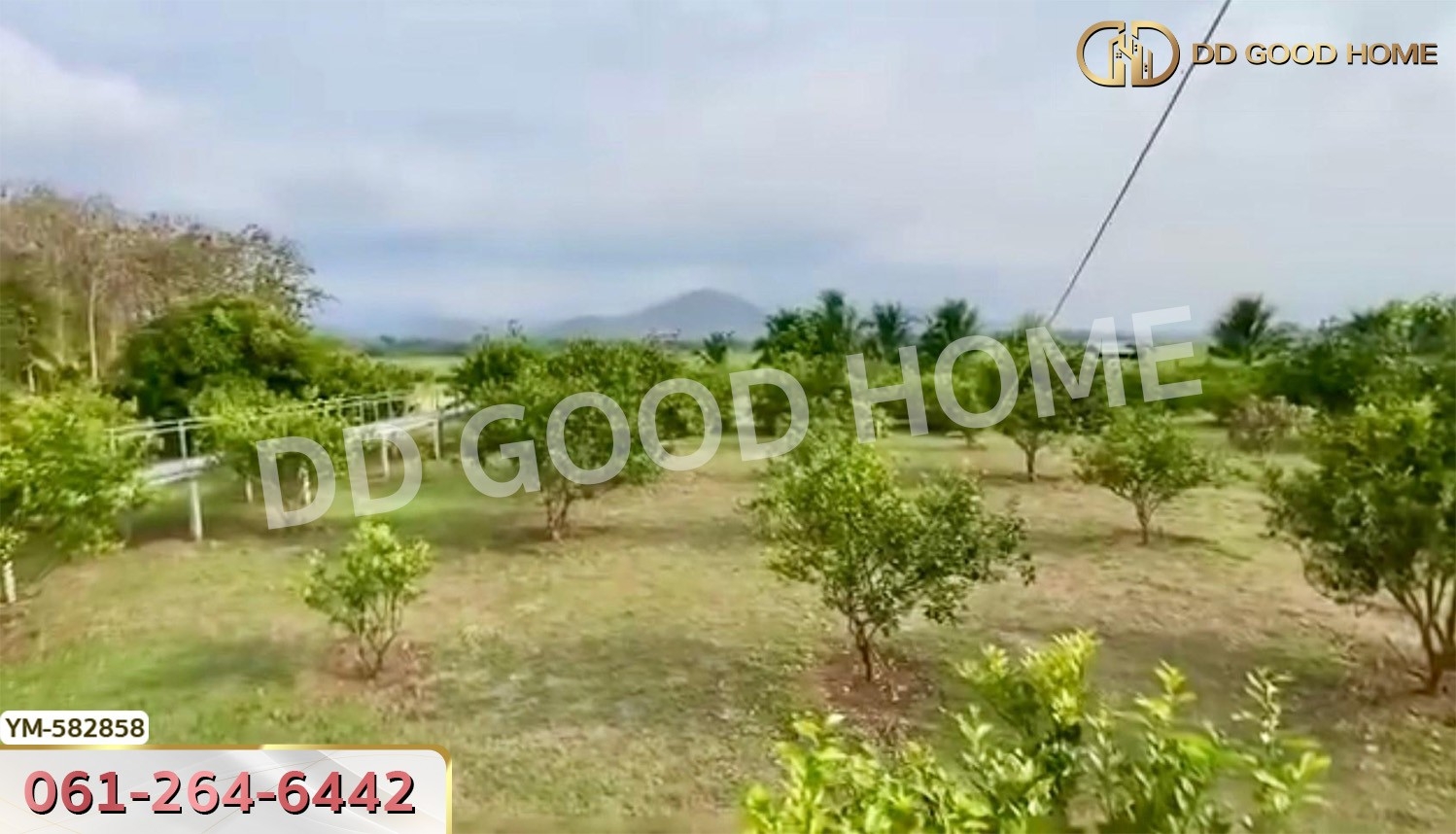 ที่ดิน ไร่สามคำ อ.แม่พริก 20 ไร่ 155 ตร.ว. ลำปาง