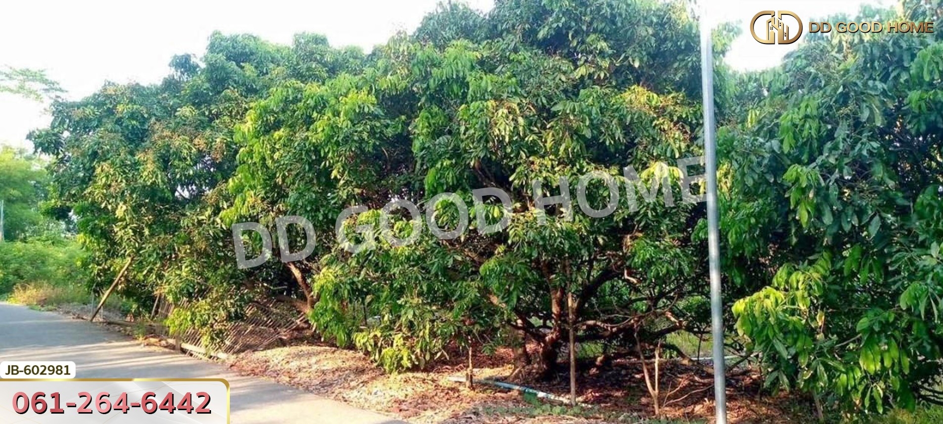 ที่ดิน อ.สันป่าตอง 2 ไร่ 338 ตร.ว. เชียงใหม่
