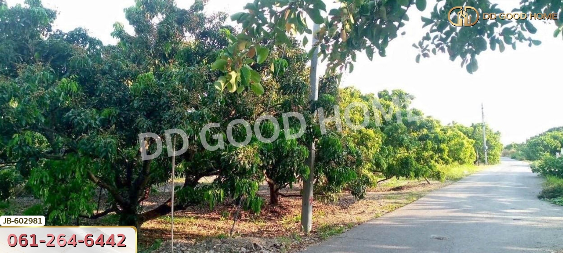 ที่ดิน อ.สันป่าตอง 2 ไร่ 338 ตร.ว. เชียงใหม่