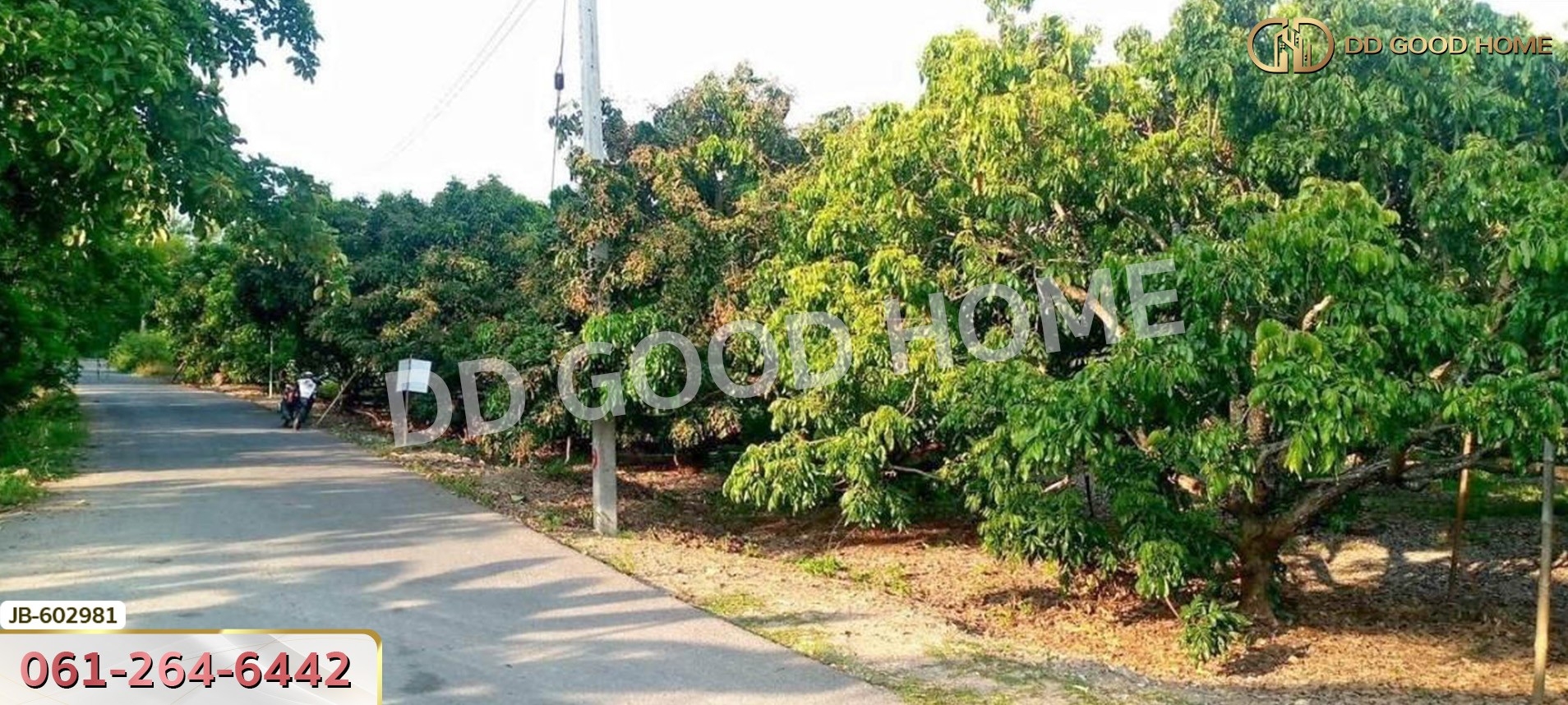 ที่ดิน อ.สันป่าตอง 2 ไร่ 338 ตร.ว. เชียงใหม่