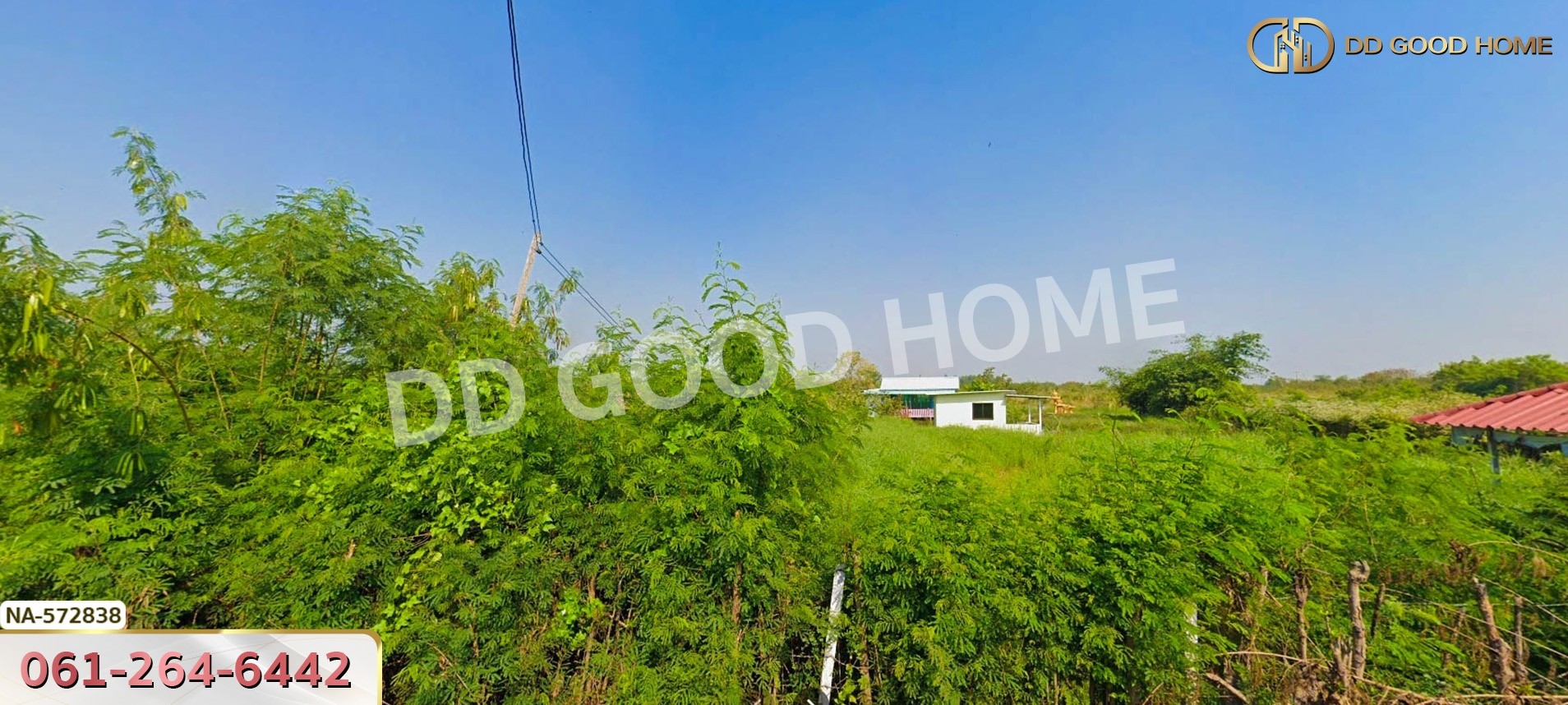 ที่ดิน อ.บางเลน 200 ตร.ว. นครปฐม เหมาะสำหรับสร้างที่อยู่อาศัย ทำเกษตร