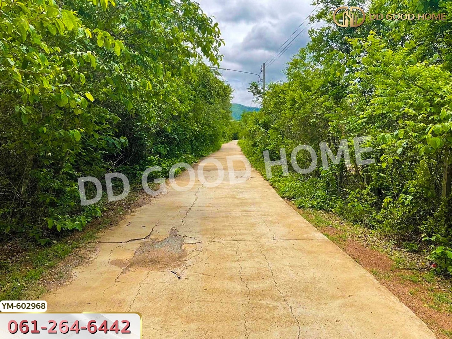 ที่ดิน ต.พระบาท 1 ไร่ 342 ตร.ว. ลำปาง