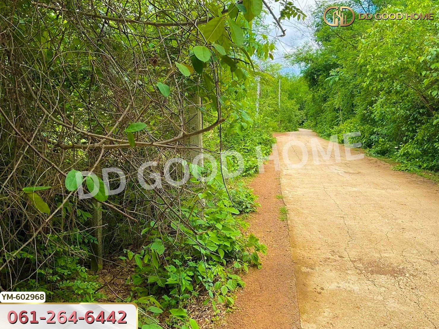 ที่ดิน ต.พระบาท 1 ไร่ 342 ตร.ว. ลำปาง