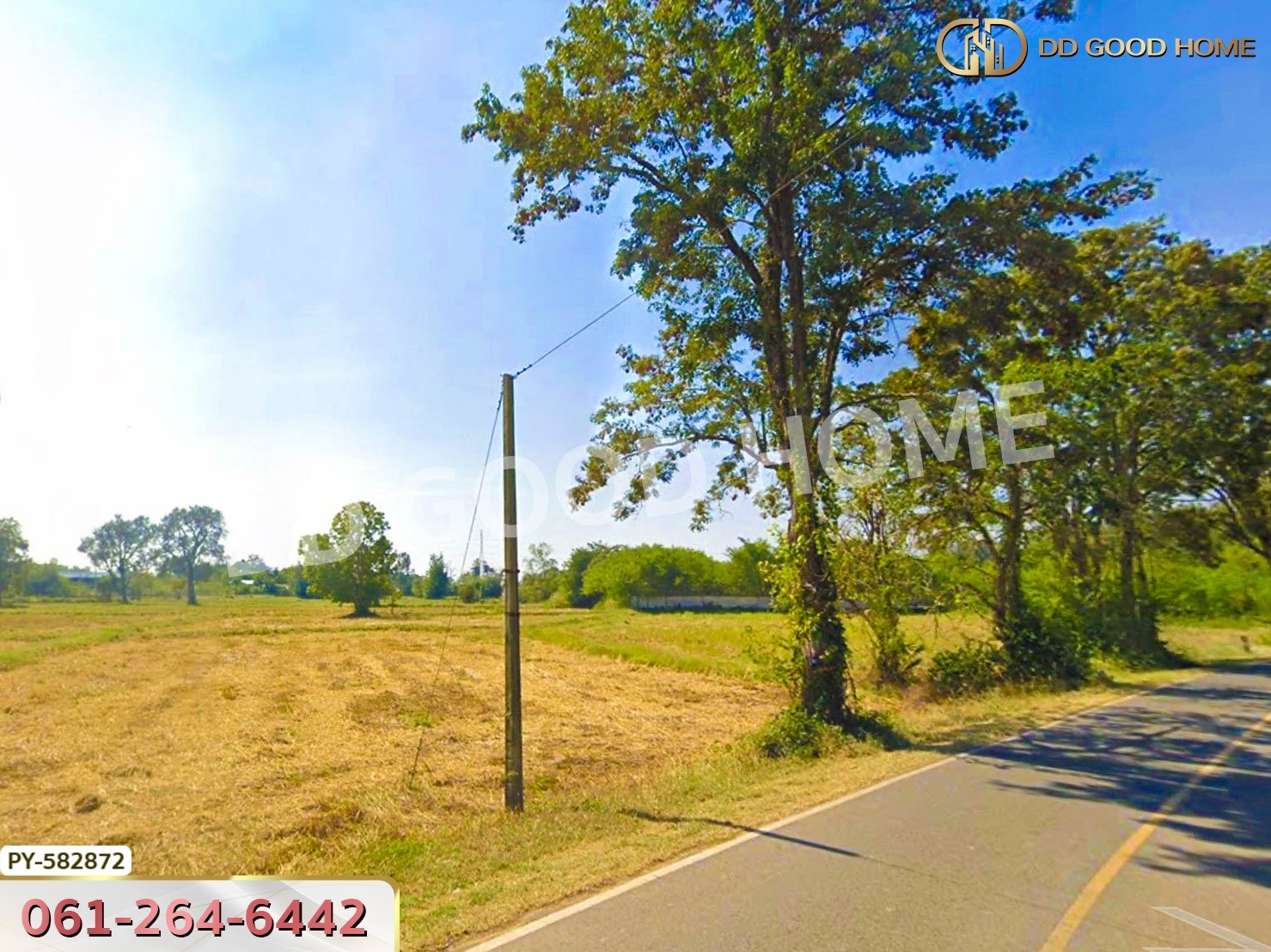 ที่ดิน ต.แสลงพันธ์ 2 ไร่ 266 ตร.ว. สุรินทร์