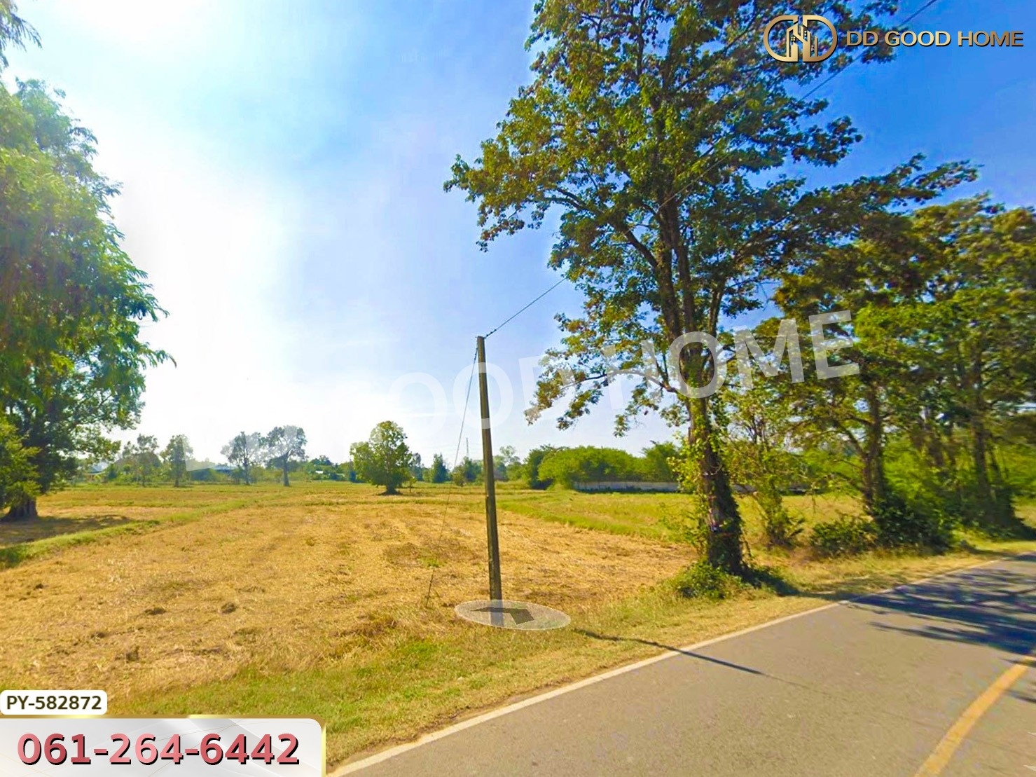 ที่ดิน ต.แสลงพันธ์ 2 ไร่ 266 ตร.ว. สุรินทร์