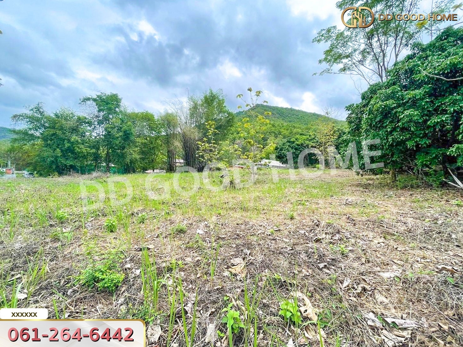 ที่ดิน อ.ดอยสะเก็ด 1 ไร่ 276 ตร.ว. จ.เชียงใหม่