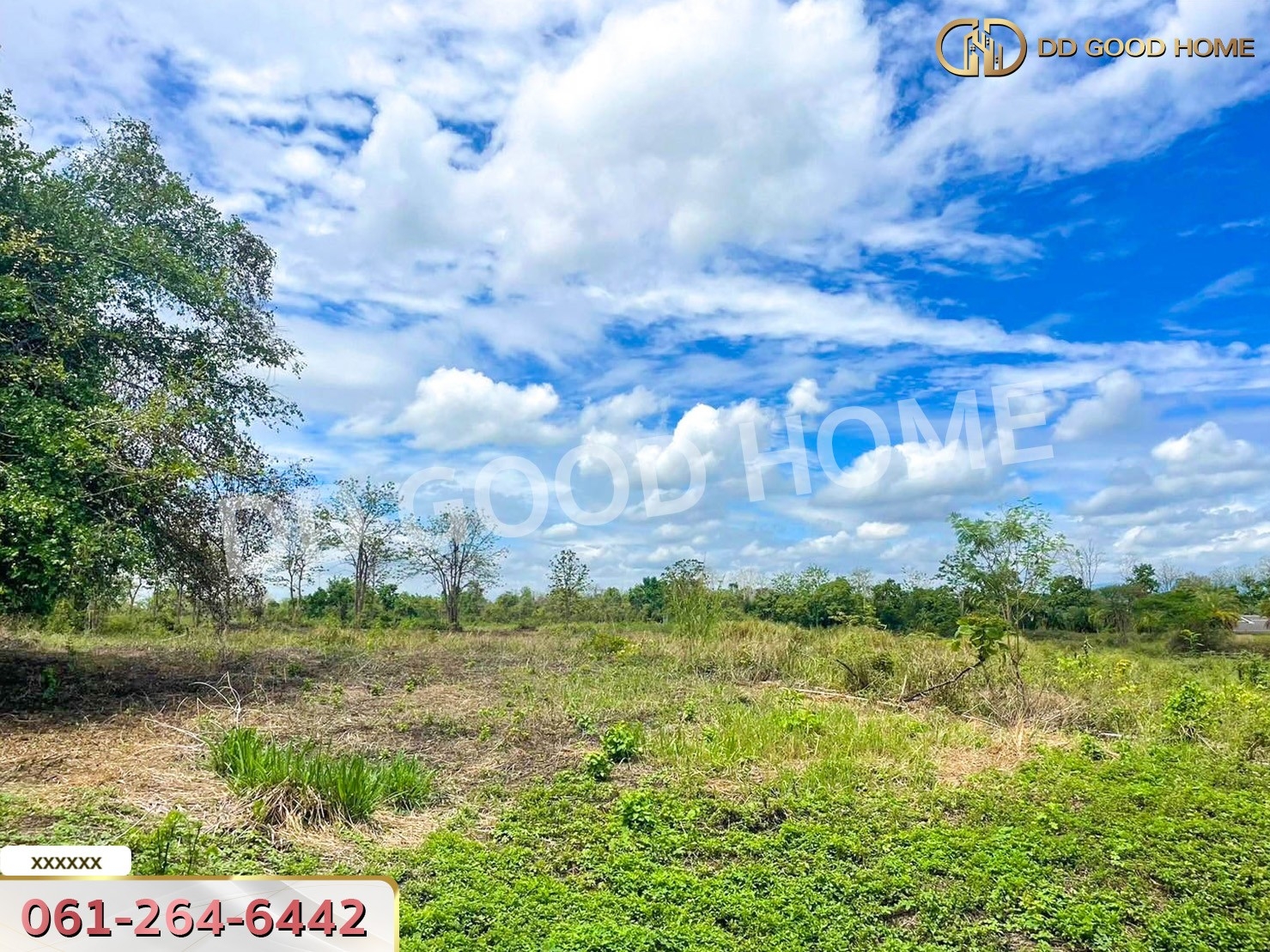 ที่ดิน อ.ดอยสะเก็ด 1 ไร่ 276 ตร.ว. จ.เชียงใหม่