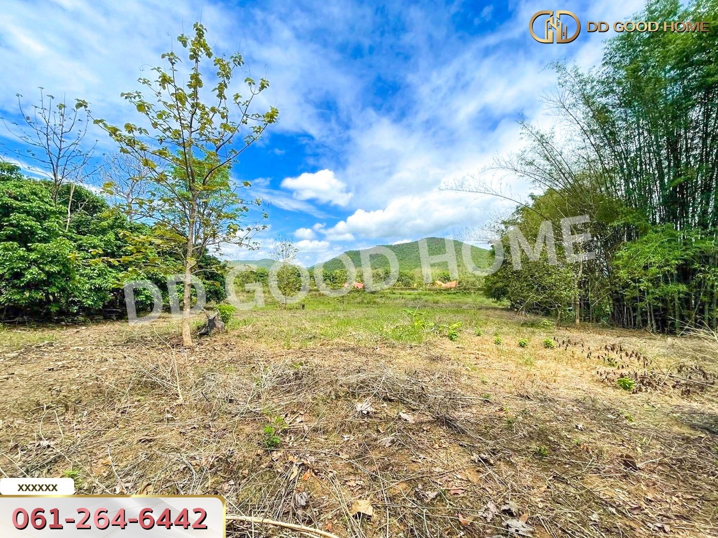 ที่ดิน อ.ดอยสะเก็ด 1 ไร่ 276 ตร.ว. จ.เชียงใหม่