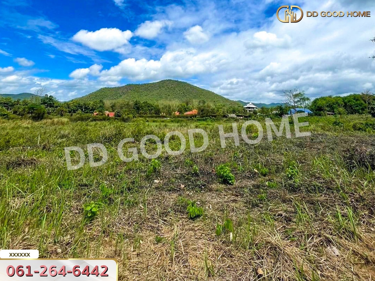 ที่ดิน อ.ดอยสะเก็ด 1 ไร่ 276 ตร.ว. จ.เชียงใหม่