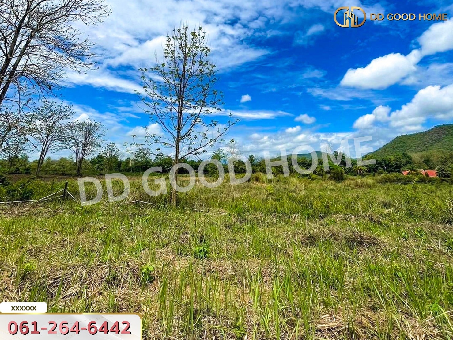 ที่ดิน อ.ดอยสะเก็ด 1 ไร่ 276 ตร.ว. จ.เชียงใหม่