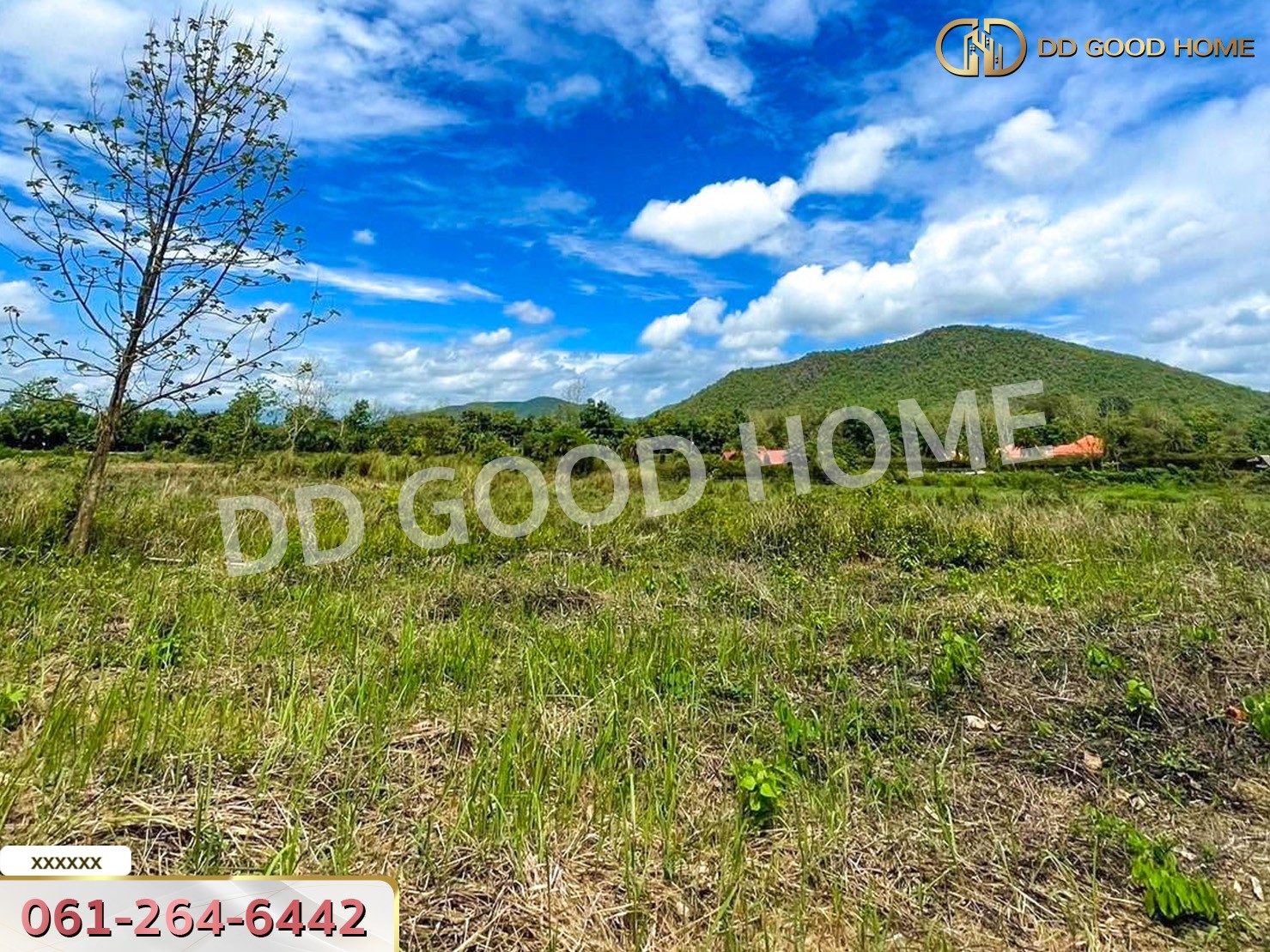 ที่ดิน อ.ดอยสะเก็ด 1 ไร่ 276 ตร.ว. จ.เชียงใหม่