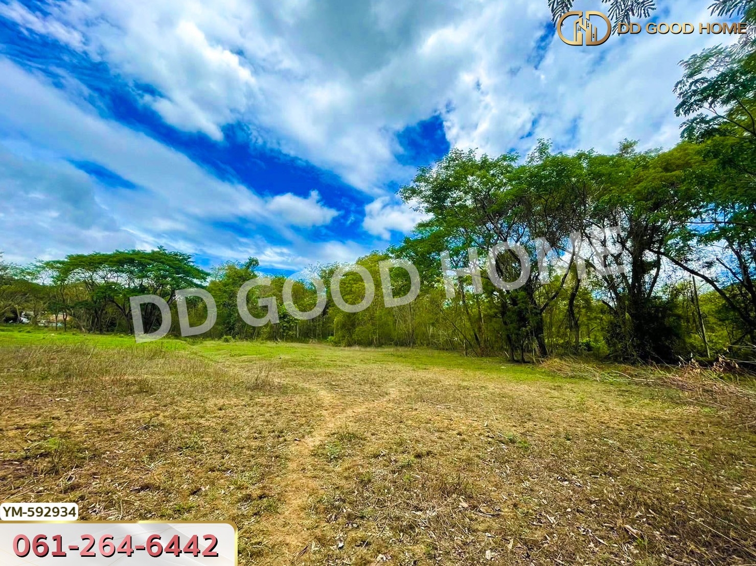 ที่ดินดอยสะเก็ด 2 ไร่ 88 ตร.ว. จ.เชียงใหม่ ใกล้เขื่อนแม่กวง