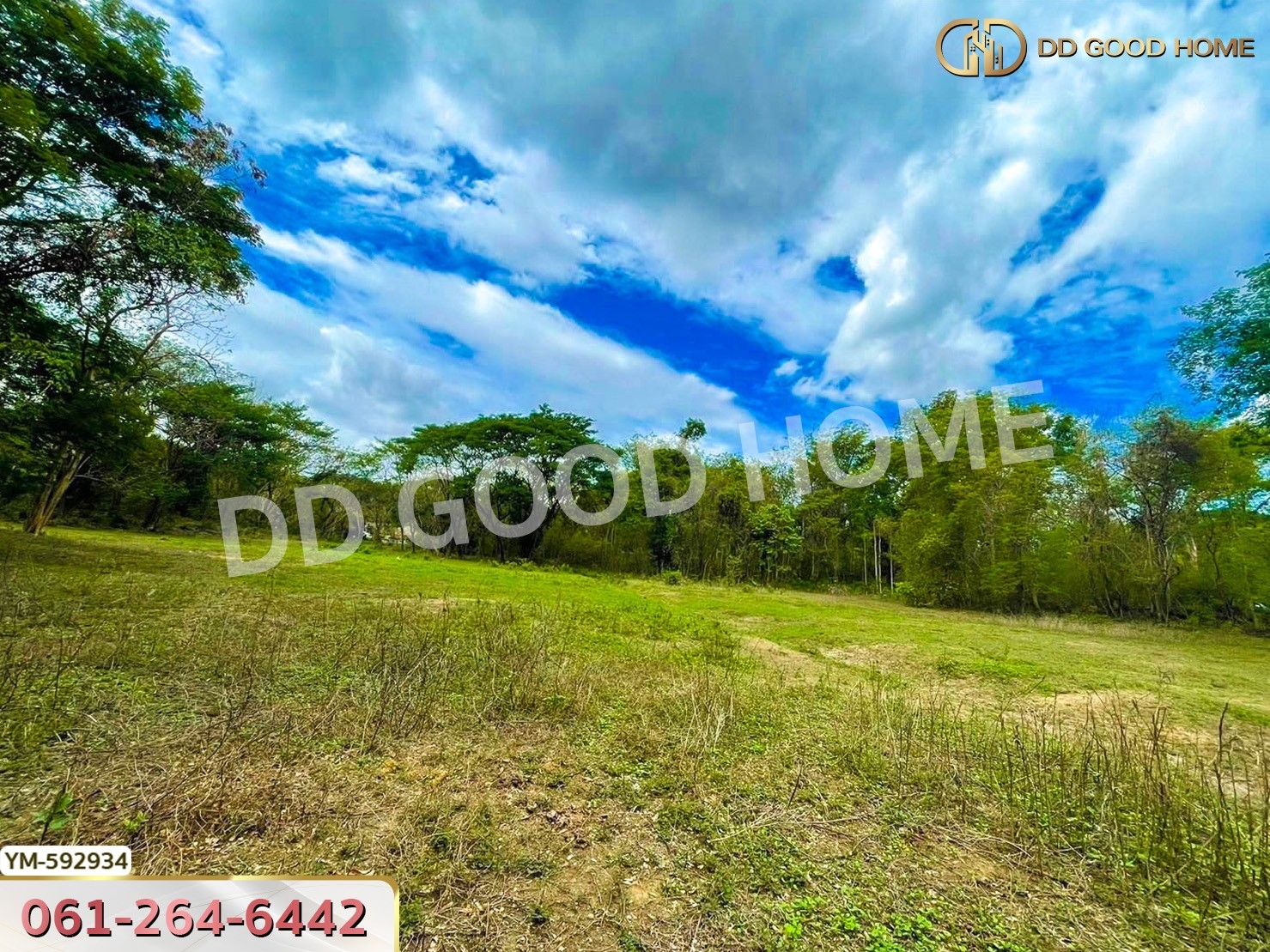 ที่ดินดอยสะเก็ด 2 ไร่ 88 ตร.ว. จ.เชียงใหม่ ใกล้เขื่อนแม่กวง
