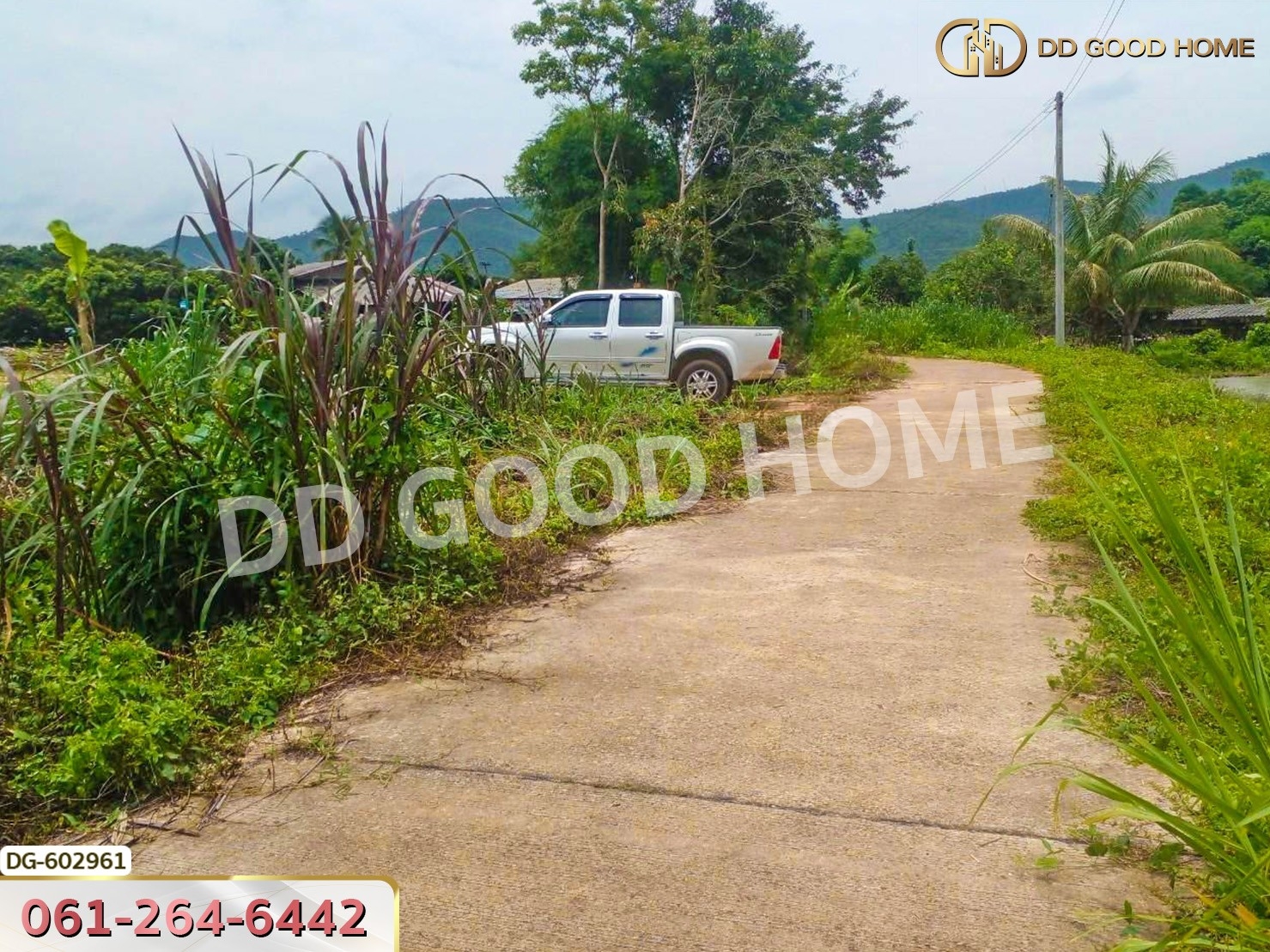 ที่ดิน อ.เชียงดาว 2 ไร่ 304 ตร.ว. เชียงใหม่