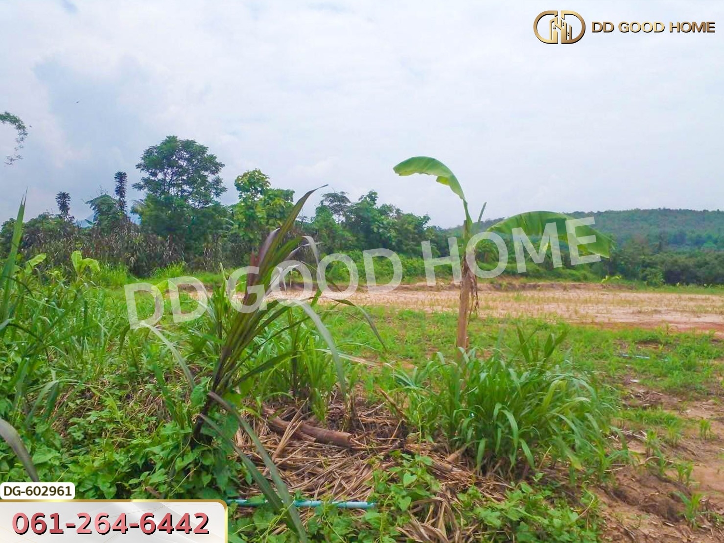 ที่ดิน อ.เชียงดาว 2 ไร่ 304 ตร.ว. เชียงใหม่
