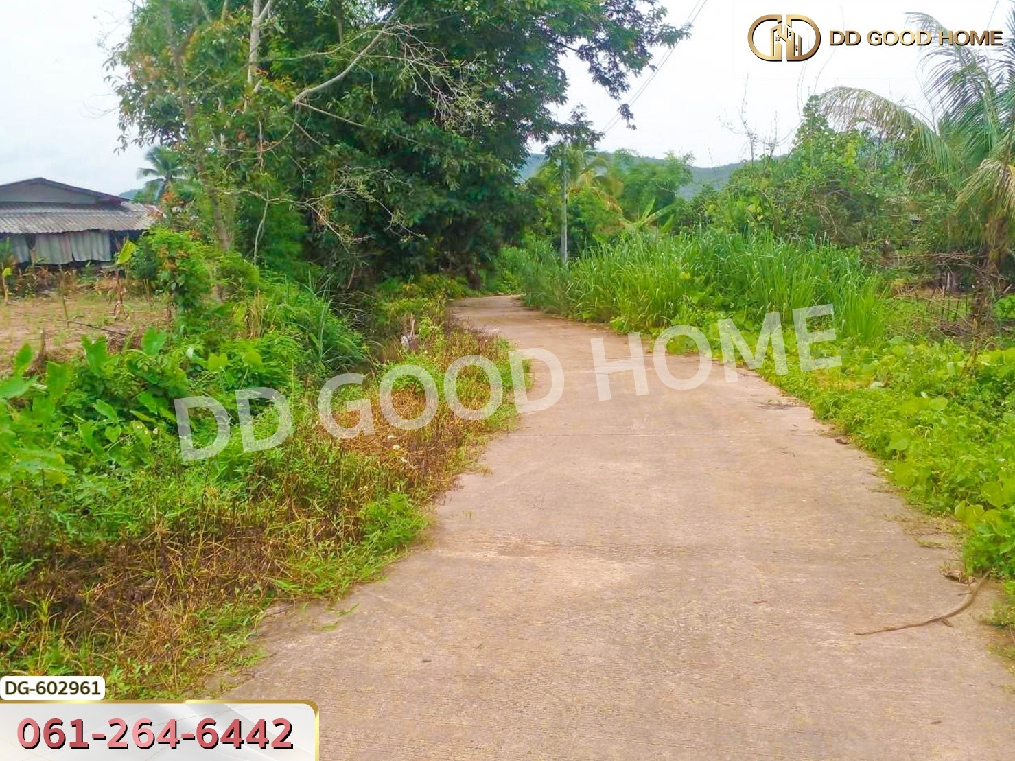 ที่ดิน อ.เชียงดาว 2 ไร่ 304 ตร.ว. เชียงใหม่