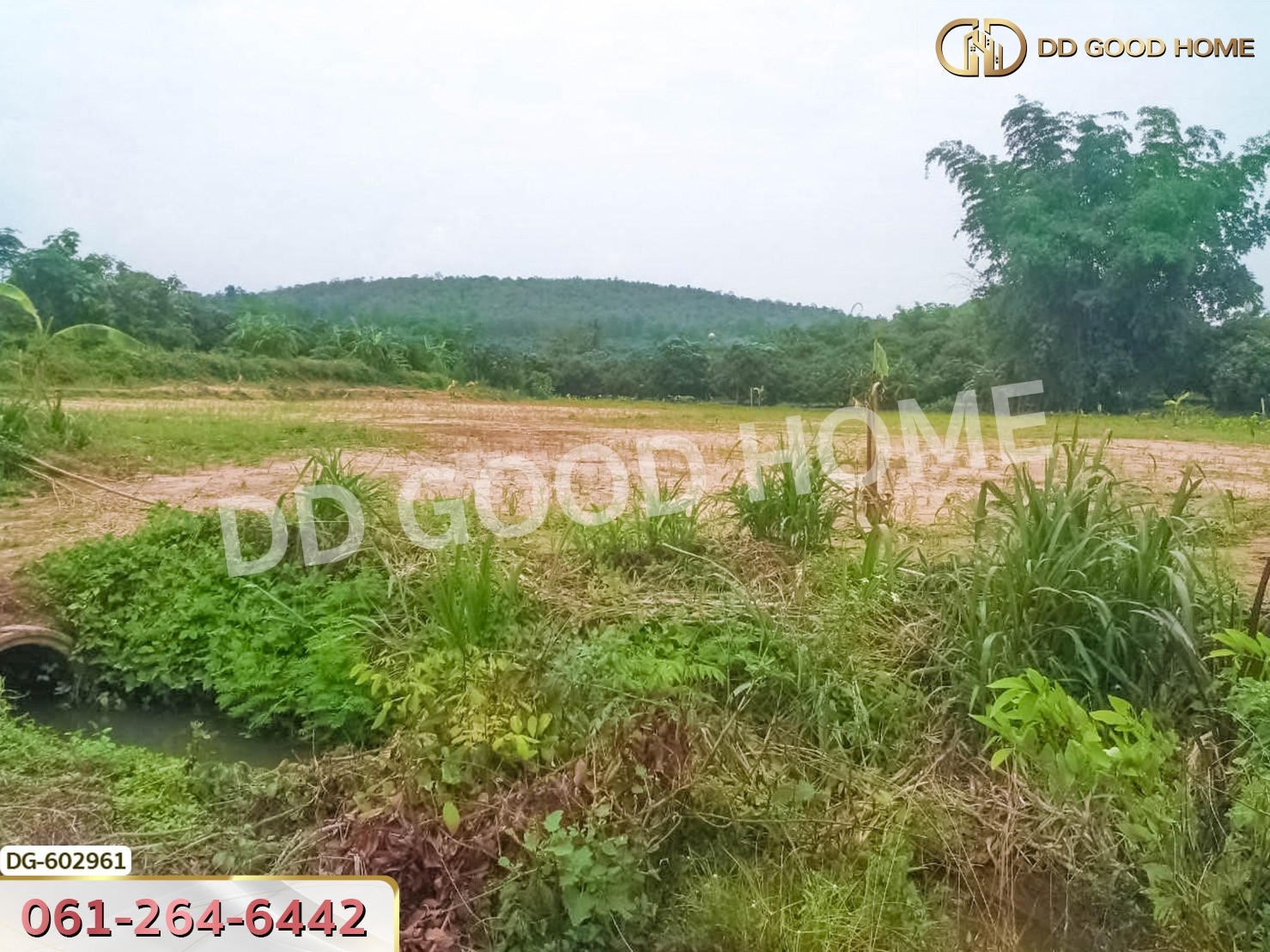 ที่ดิน อ.เชียงดาว 2 ไร่ 304 ตร.ว. เชียงใหม่