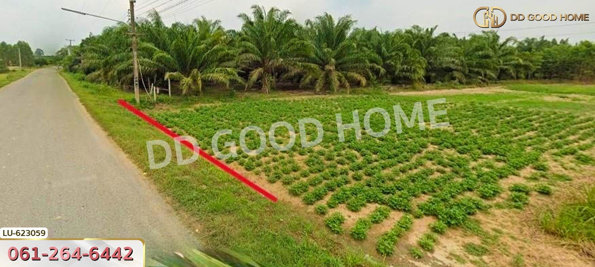 ที่ดิน บ้านโค้งประดู่เทศบาล 5 อ.เกาะจันทร์ 80 ตร.ว. ชลบุรี