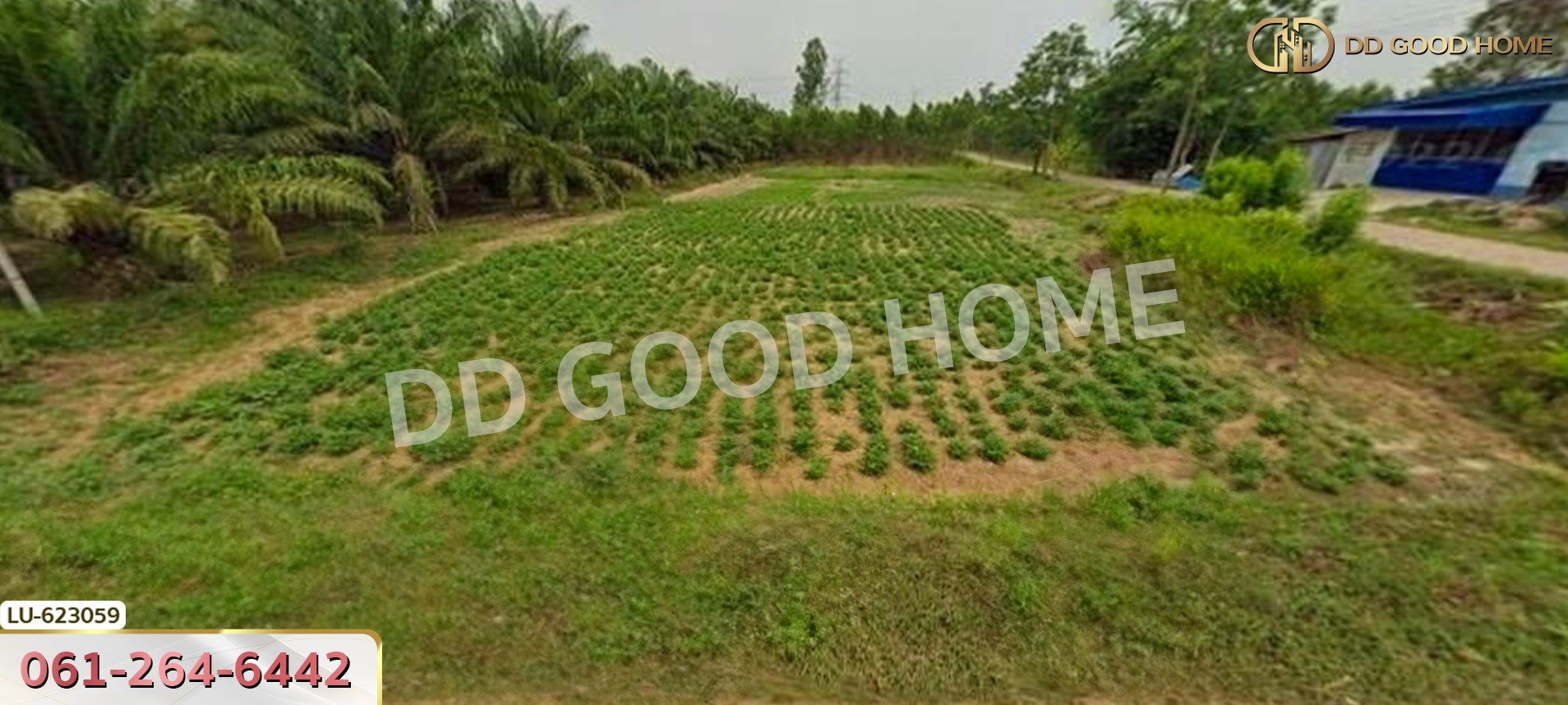 ที่ดิน บ้านโค้งประดู่เทศบาล 5 อ.เกาะจันทร์ 80 ตร.ว. ชลบุรี