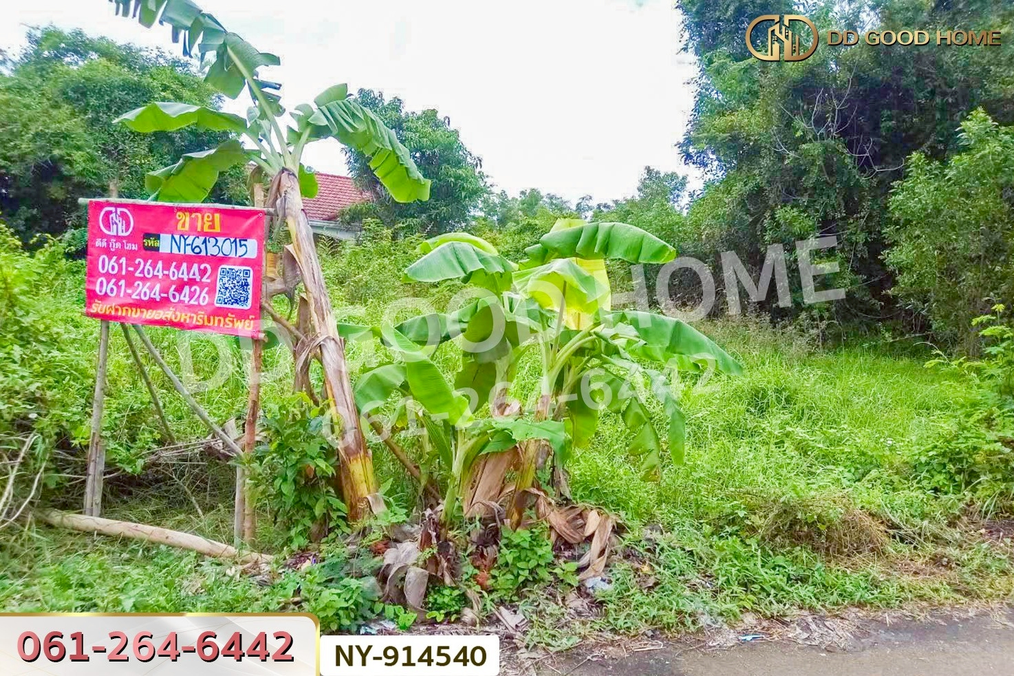 NY-914540 ที่ดินเมืองสระแก้ว 98 ตร.ว. สระแก้ว ใกล้ศาลเจ้ามูลนิธิธรรมสุขศิริ