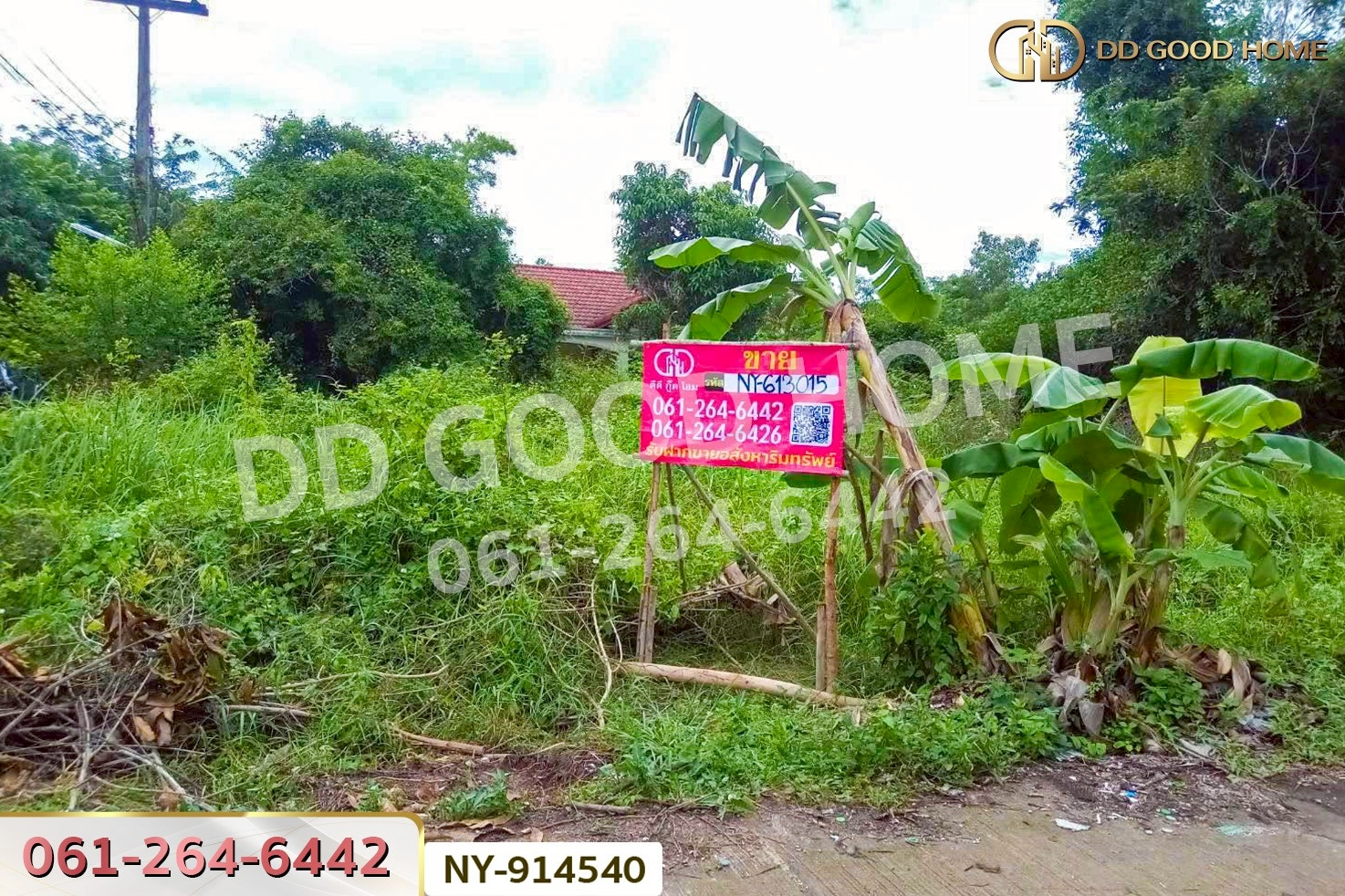 NY-914540 ที่ดินเมืองสระแก้ว 98 ตร.ว. สระแก้ว ใกล้ศาลเจ้ามูลนิธิธรรมสุขศิริ