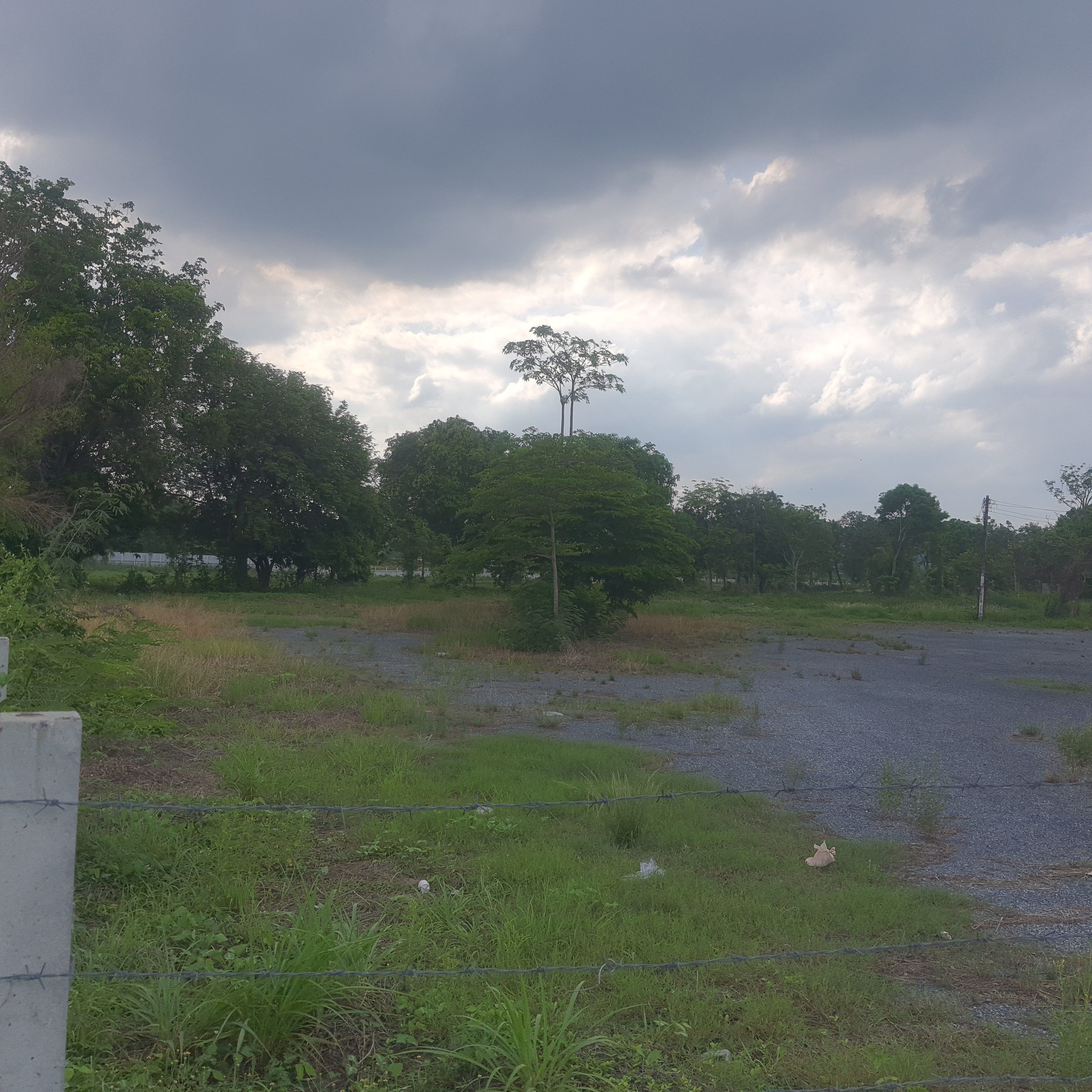 ขายที่ดินสวยใกล้แหล่งท่องเที่ยว เยื้องฝั่งตรงข้ามตลาดโรงเกลือนครนายก