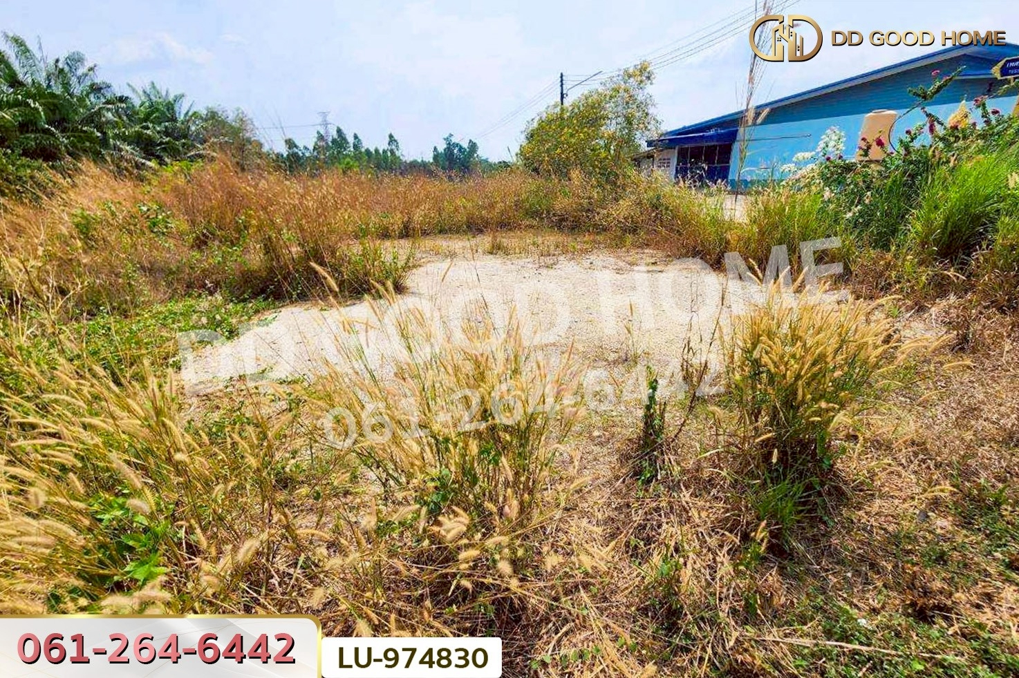 LU-974830 ที่ดินบ้านโค้งประดู่เทศบาล 5 เกาะจันทร์ 80 ตร.ว. ชลบุรี ใกล้ที่ว่าการอำเภอเกาะจันทร์