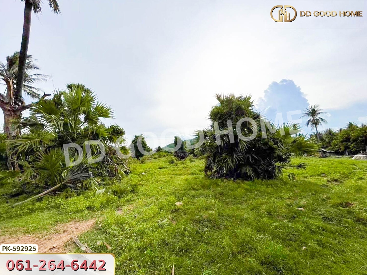 ที่ดิน ปราณบุรี 4 ไร่ ประจวบคีรีขันธ์