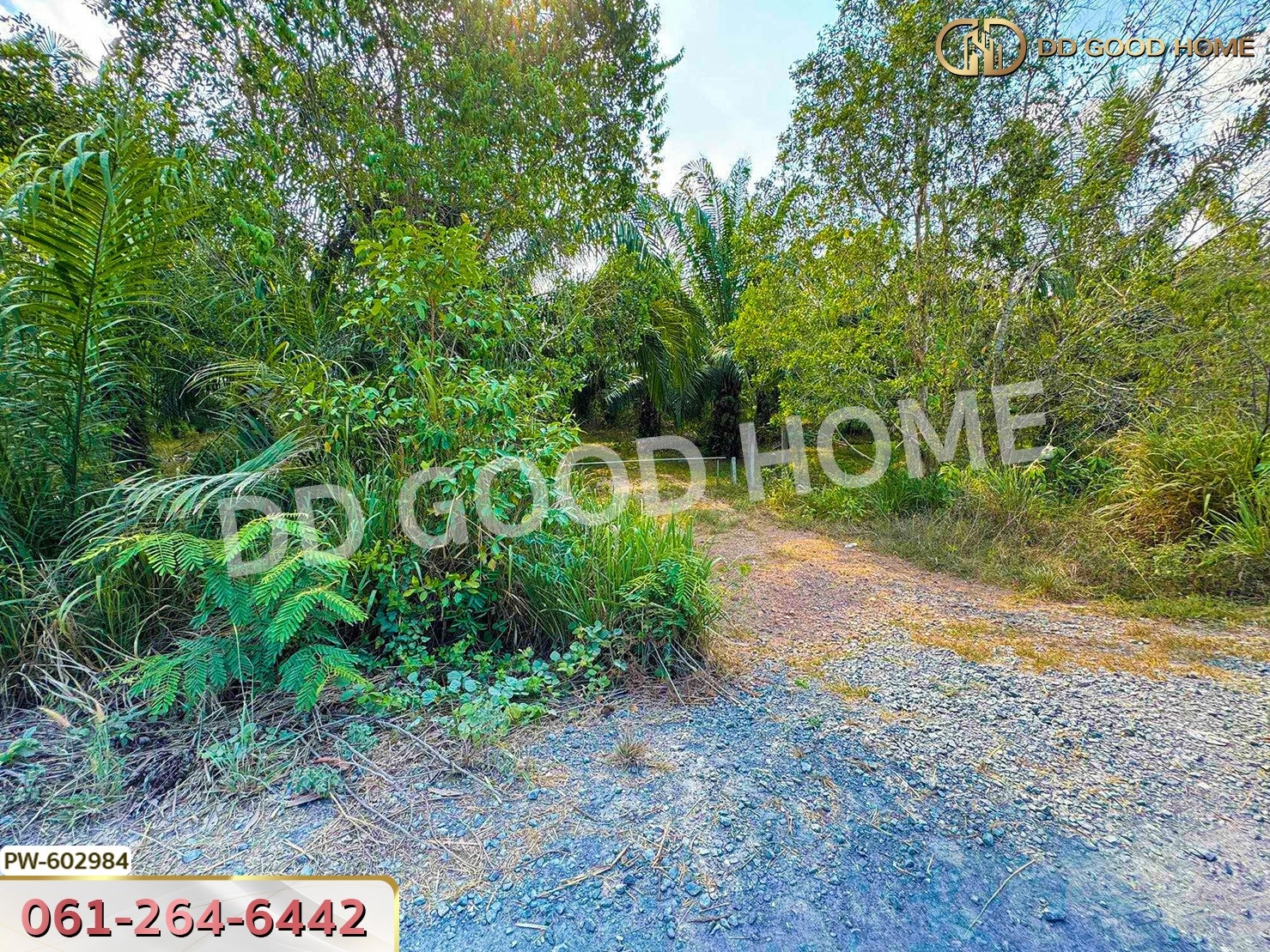 ที่ดิน ทุ่งใหญ่ 10 ไร่ 187 ตร.ว. นครศรีธรรมราช