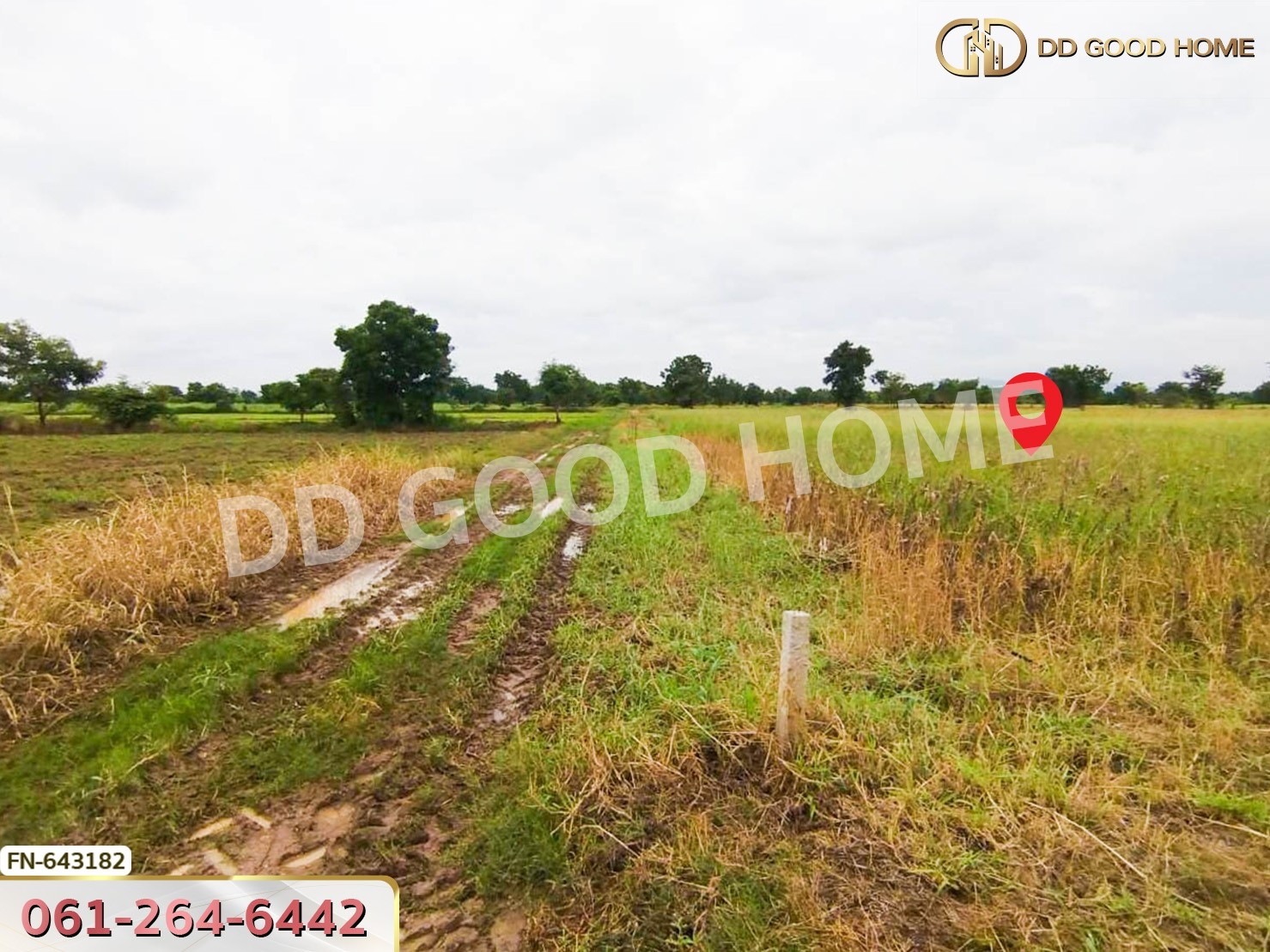 ที่ดิน ชัยบาดาล 5 ไร่ 313.2 ตร.ว. ลพบุรี