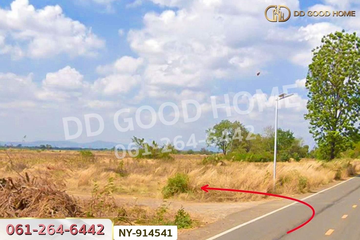 NY-914541 ที่ดินบึงสามพัน 100 ตร.ว. เพชรบูรณ์ ใกล้วัดบึงสามพันล่าง