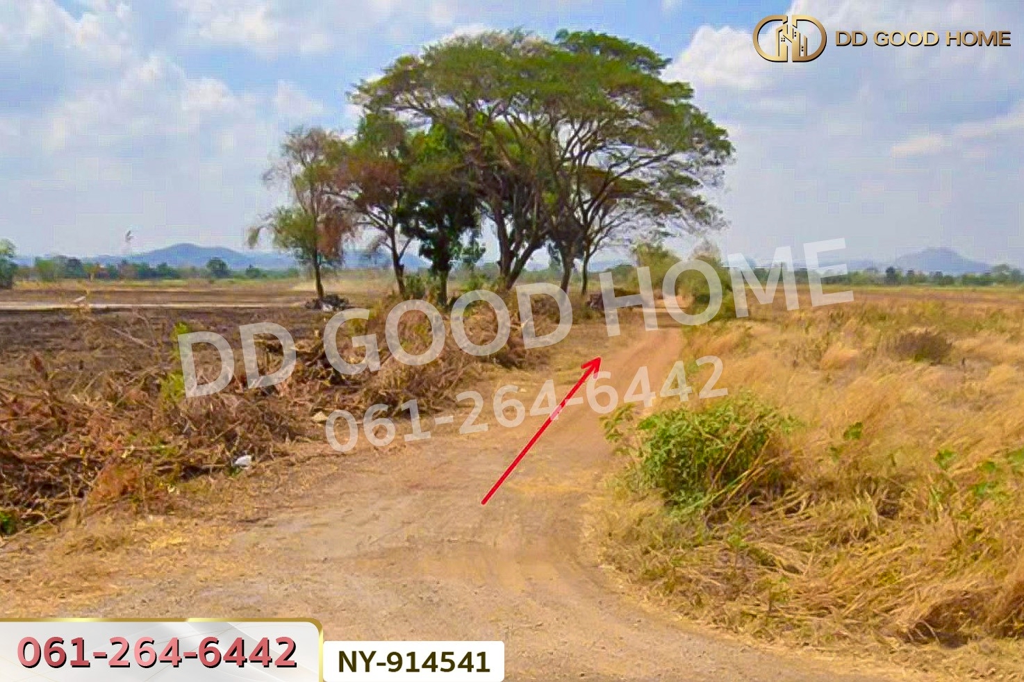 NY-914541 ที่ดินบึงสามพัน 100 ตร.ว. เพชรบูรณ์ ใกล้วัดบึงสามพันล่าง