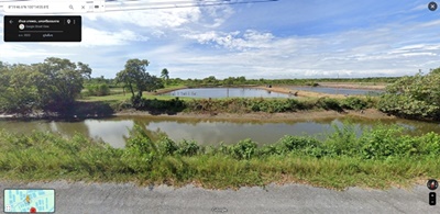 ขายที่ดินเปล่านครศรีธรรมราช  3 แปลง  ติดถนนลาดยาง 2 เลน มีไฟฟ้า ประปาผ่าน ใกล้โครงการพัฒนาพื้นที่ลุ่มน้ำปากพนัง